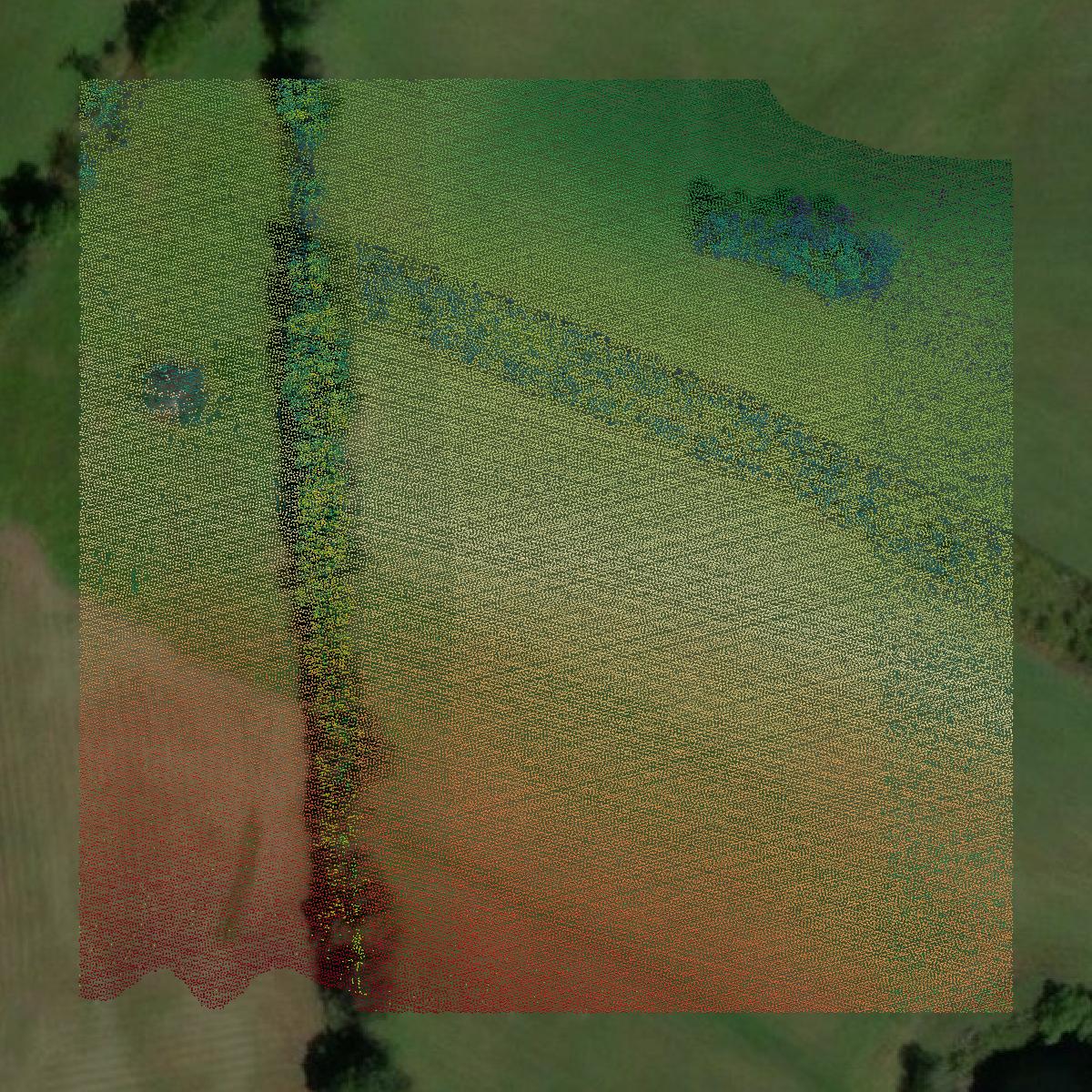 This image shows a LiDAR point cloud in Wyoming County created using GIS data in Equator.