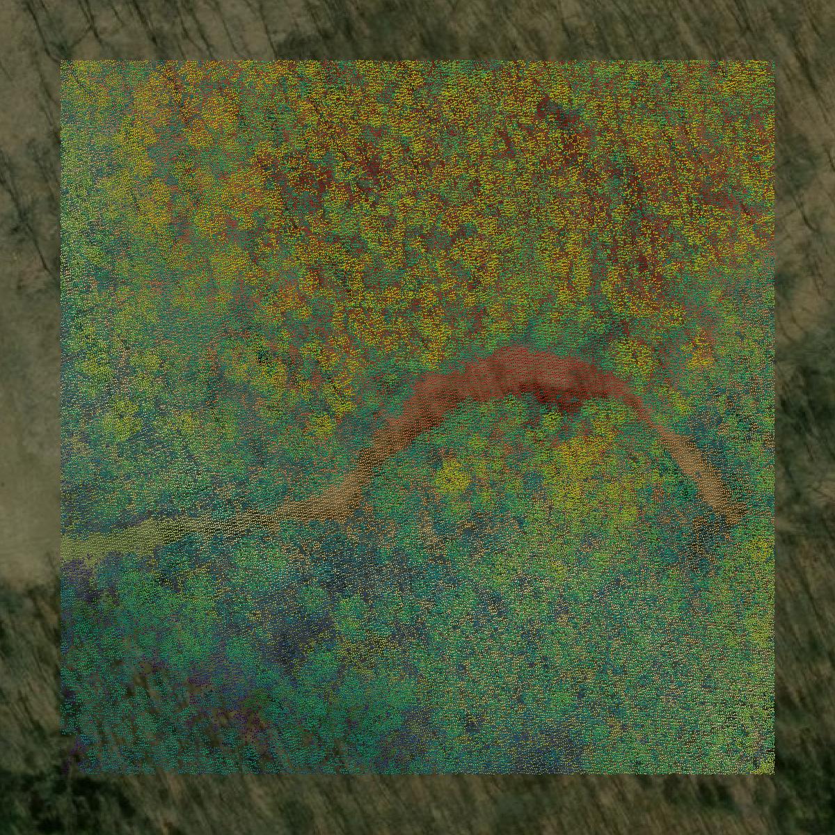 This image shows a LiDAR point cloud in Wyoming County created using GIS data in Equator.