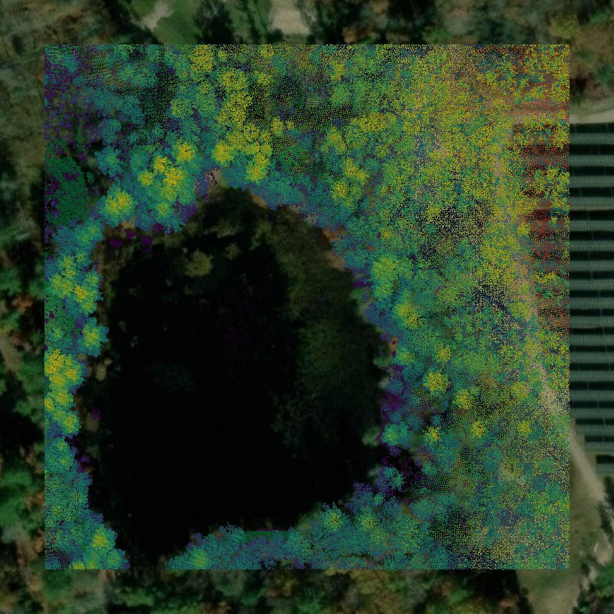 This image shows a LiDAR point cloud in Kent County created using GIS data in Equator.