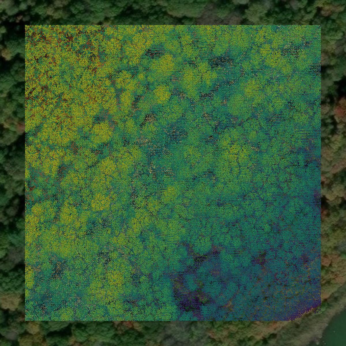 This image shows a LiDAR point cloud in Newport County created using GIS data in Equator.