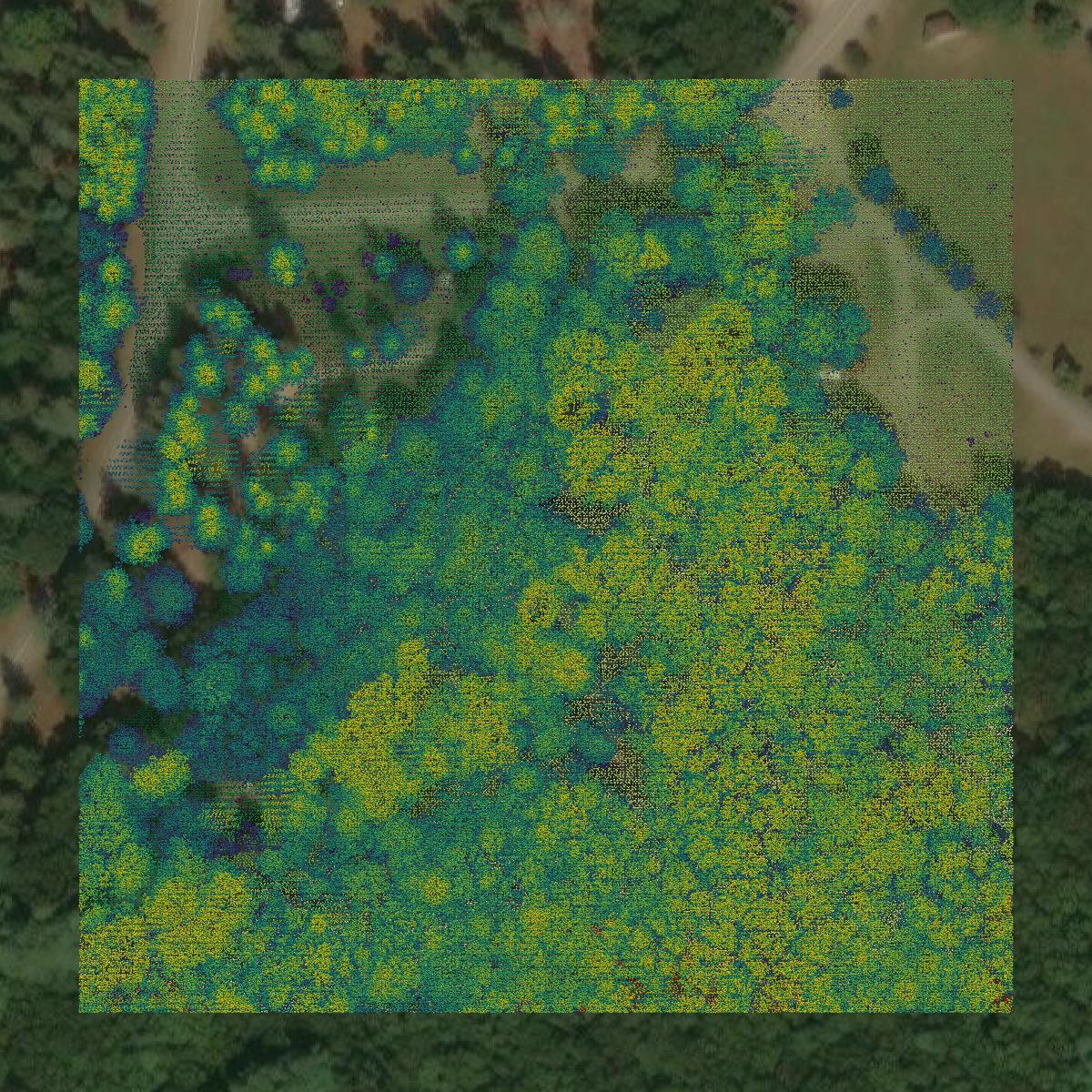This image shows a LiDAR point cloud in Washington County created using GIS data in Equator.
