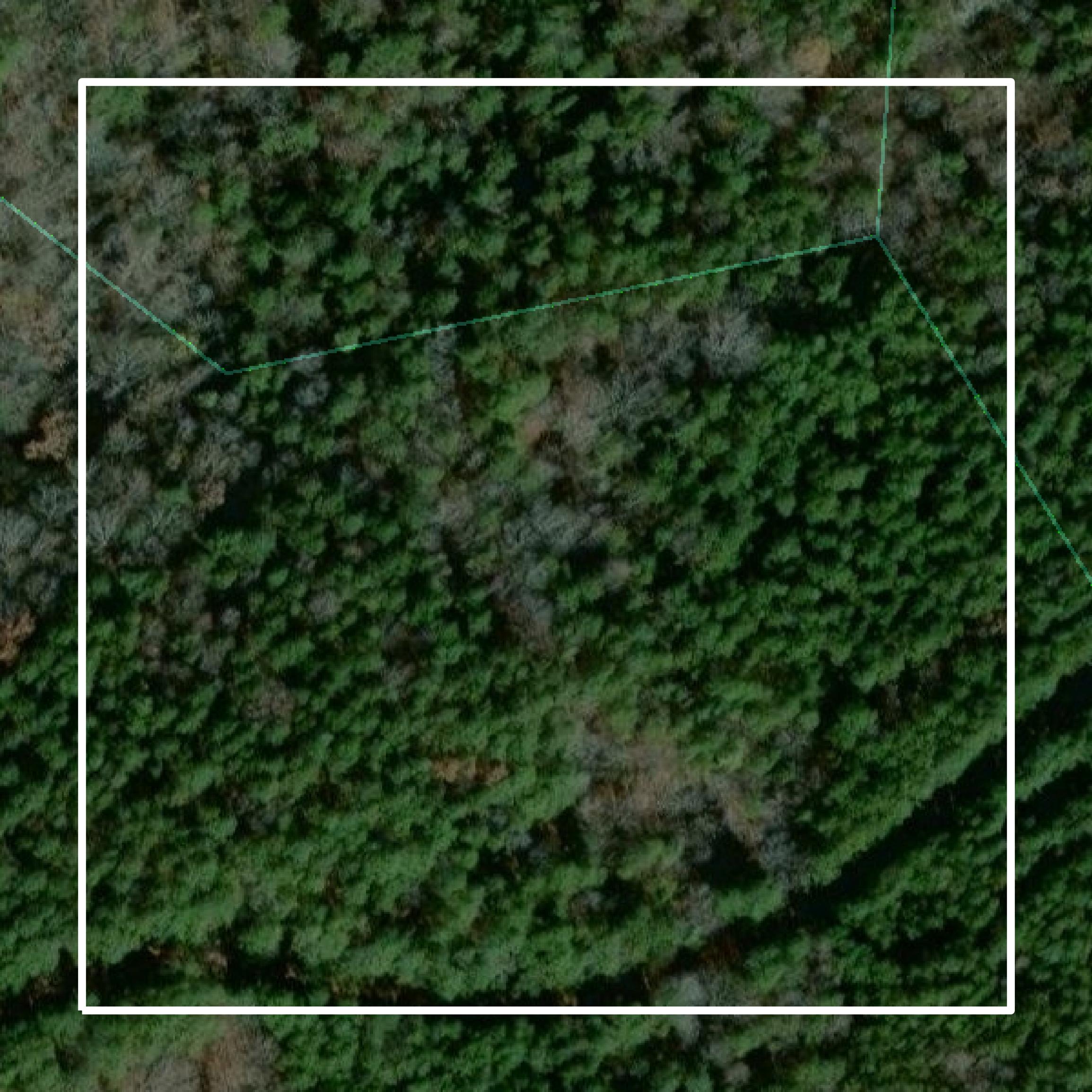 This image shows parcel and building data in Abbeville County created using GIS data in Equator.