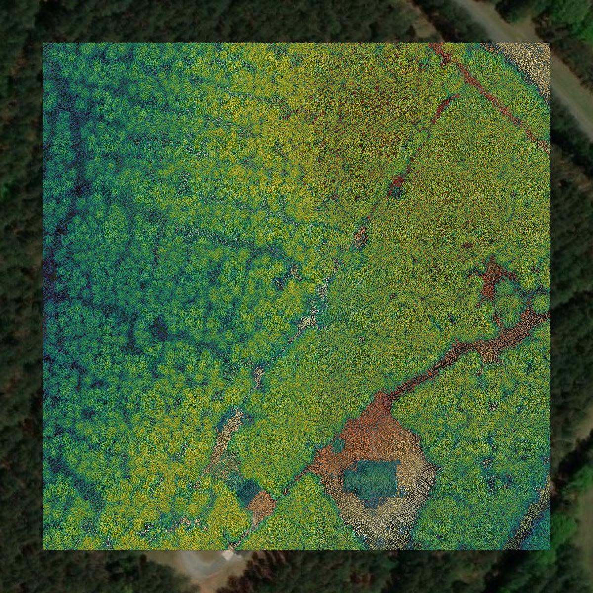 This image shows a LiDAR point cloud in Abbeville County created using GIS data in Equator.