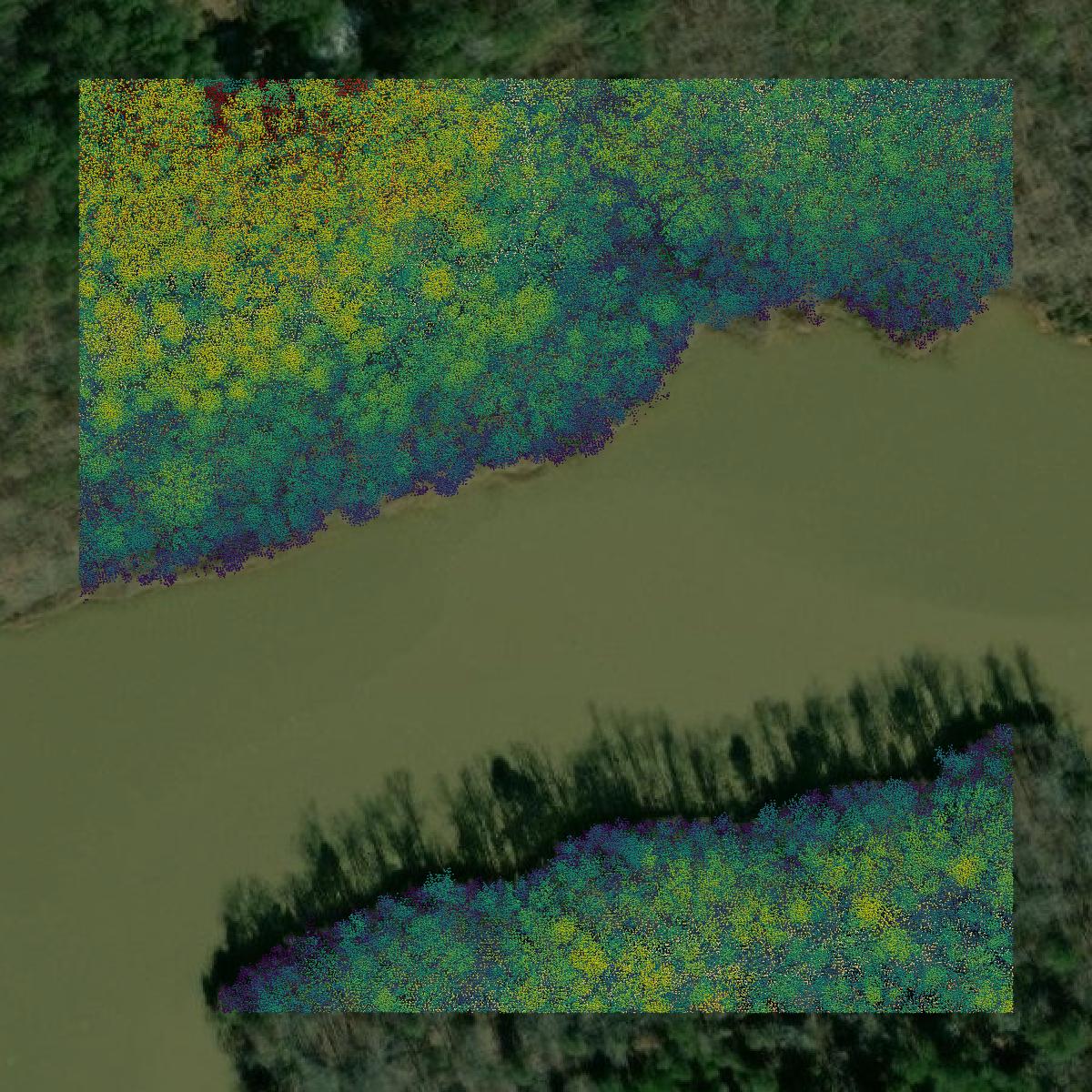 This image shows a LiDAR point cloud in Abbeville County created using GIS data in Equator.