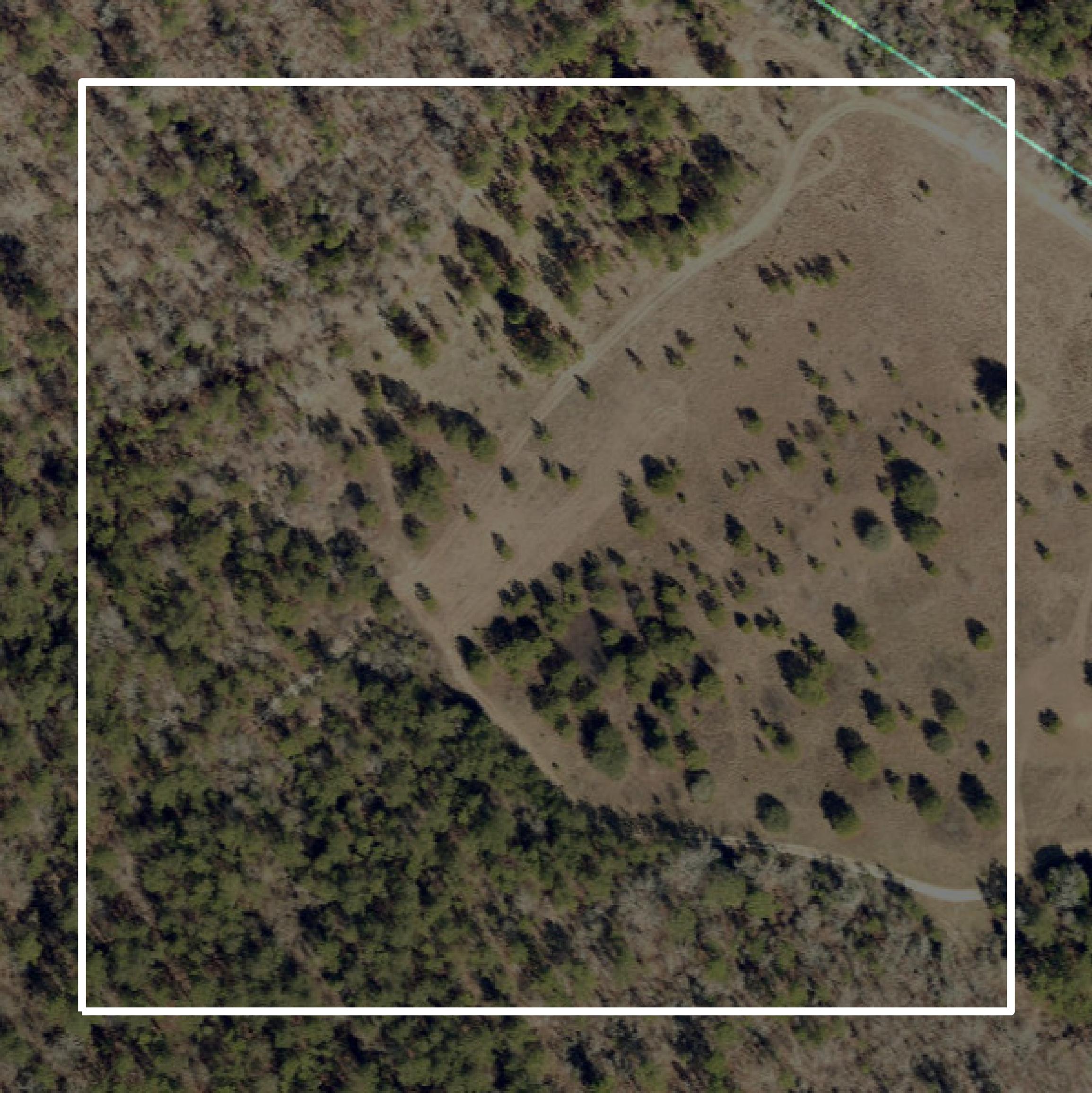 This image shows parcel and building data in Aiken County created using GIS data in Equator.