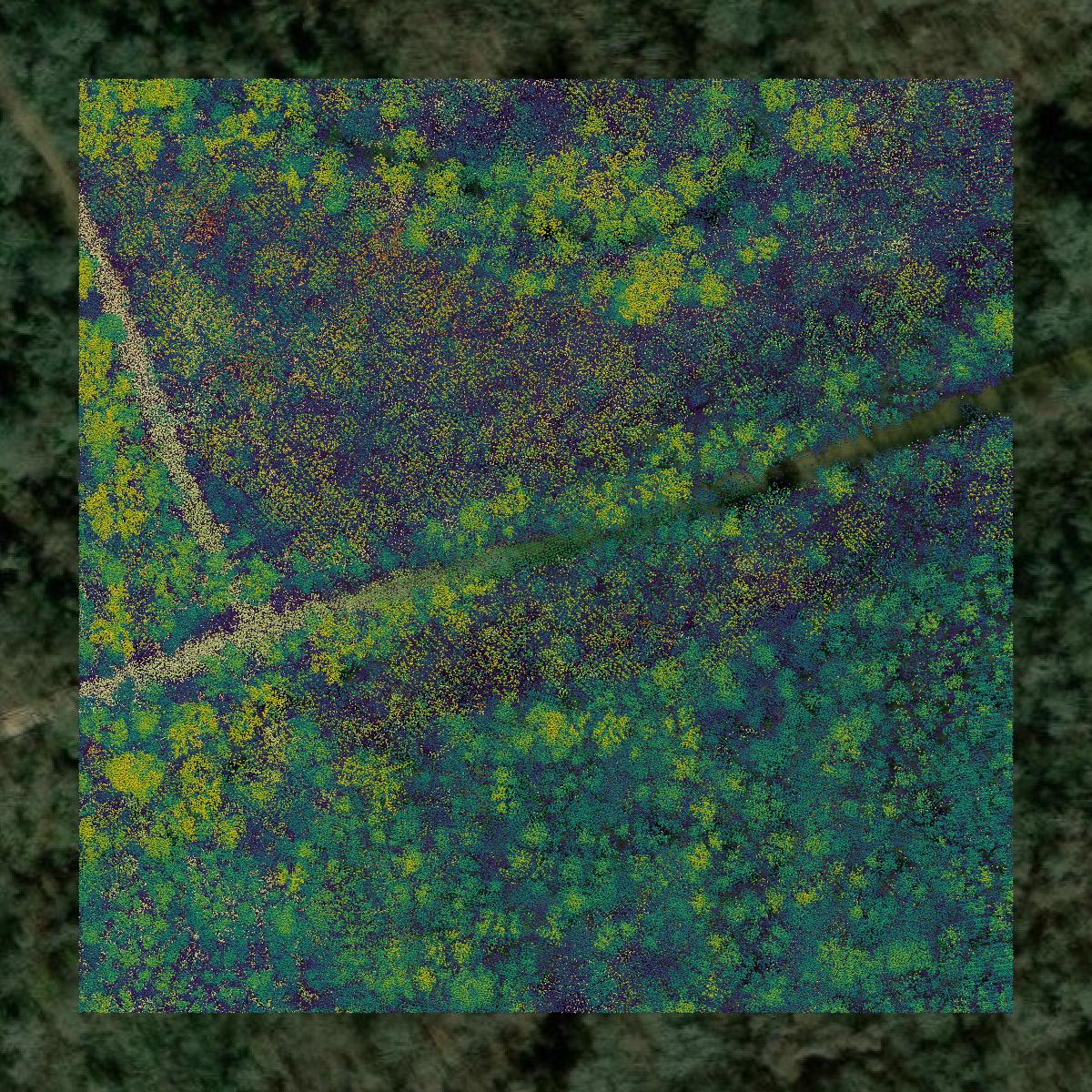 This image shows a LiDAR point cloud in Aiken County created using GIS data in Equator.