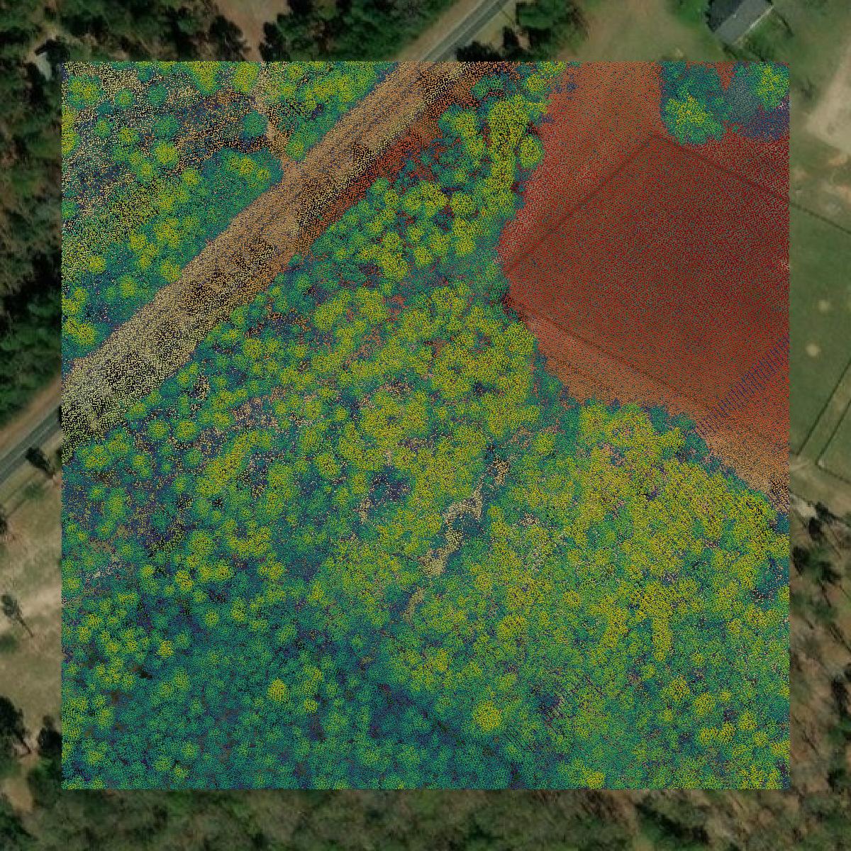 This image shows a LiDAR point cloud in Aiken County created using GIS data in Equator.