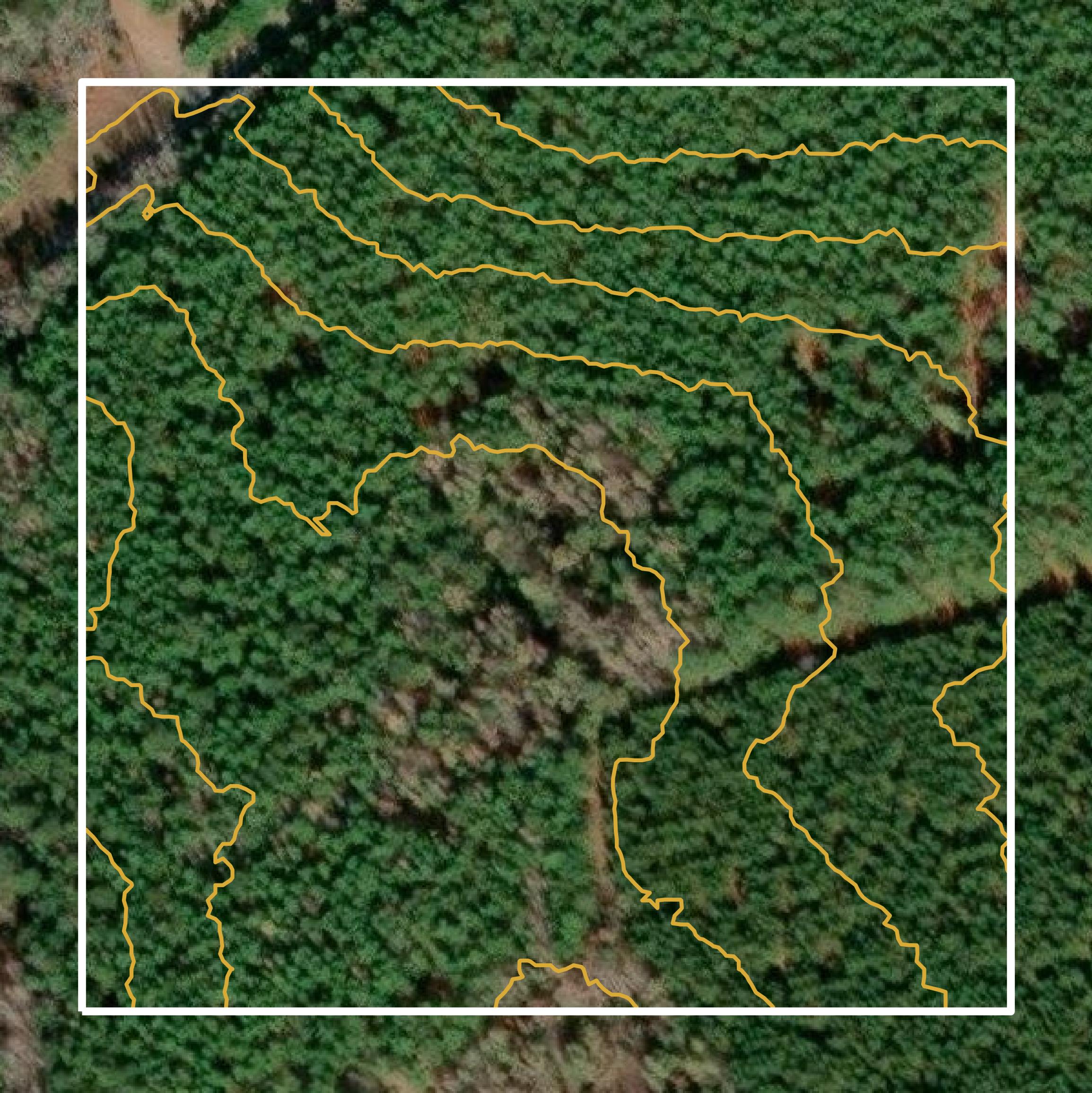 This image shows a contour map in Allendale County created using GIS data in Equator.