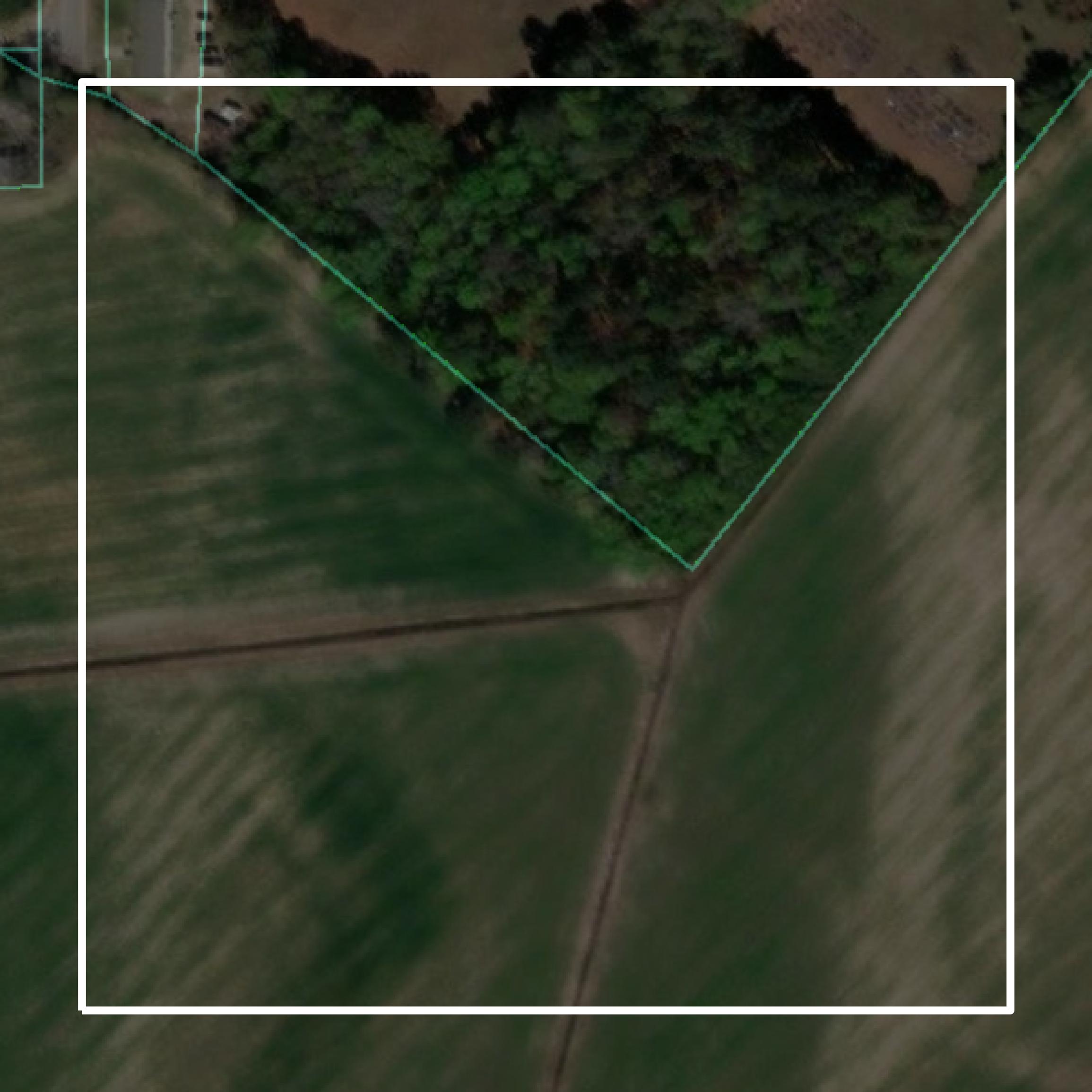 This image shows parcel and building data in Allendale County created using GIS data in Equator.