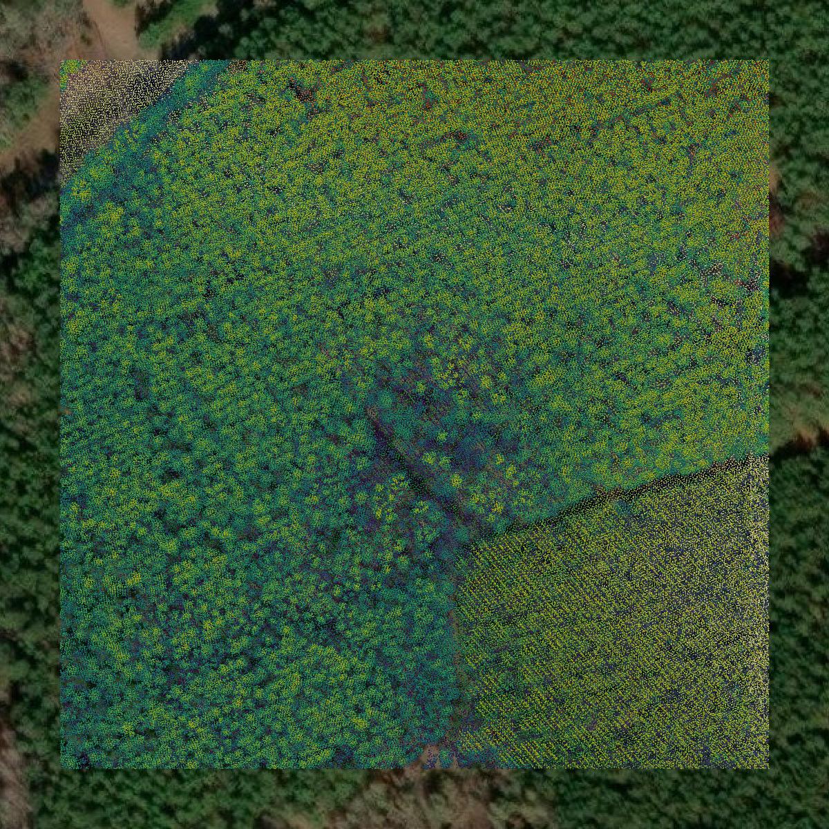 This image shows a LiDAR point cloud in Allendale County created using GIS data in Equator.