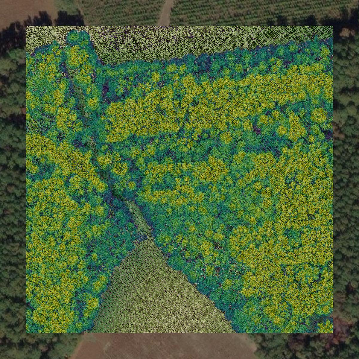 This image shows a LiDAR point cloud in Allendale County created using GIS data in Equator.