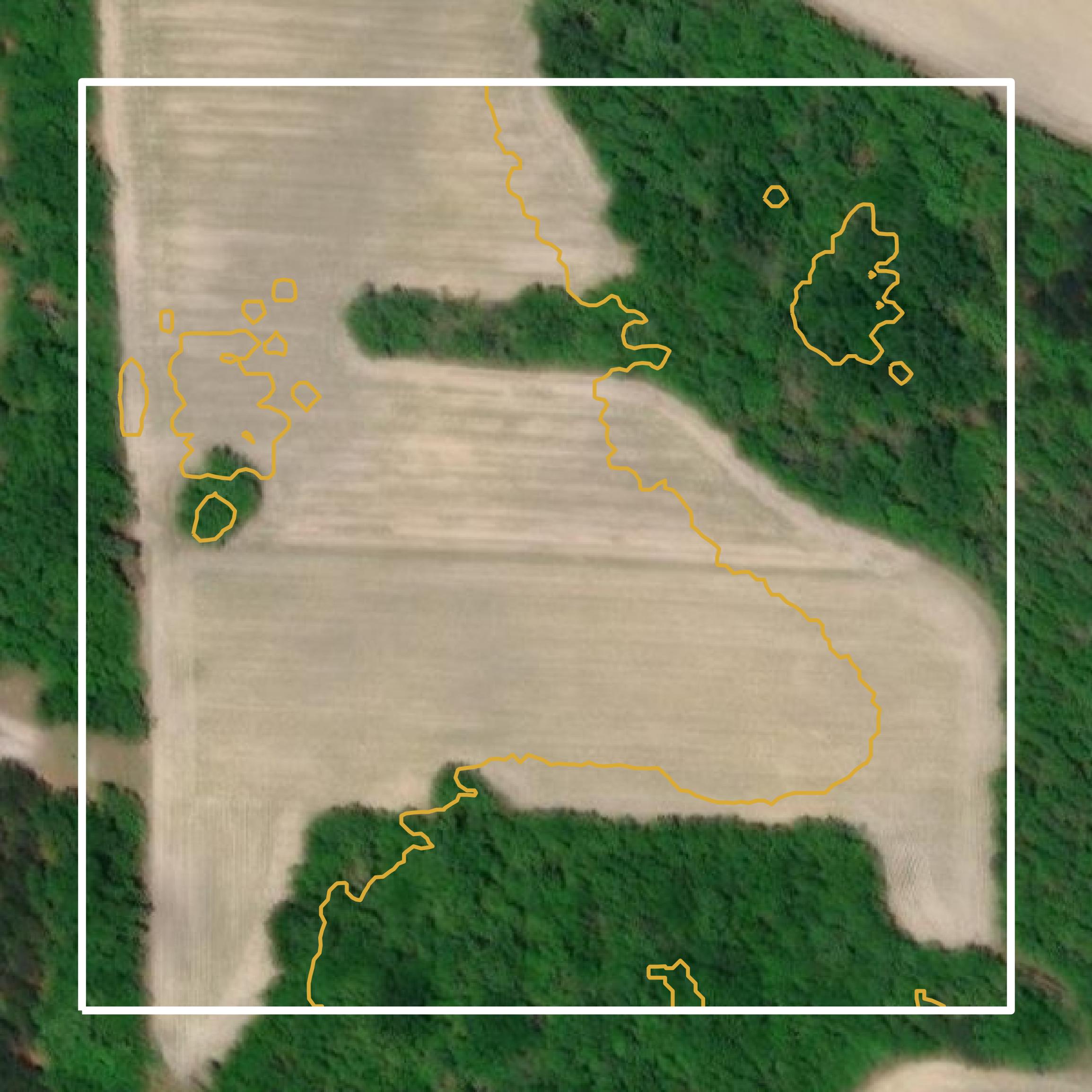 This image shows a contour map in Bamberg County created using GIS data in Equator.