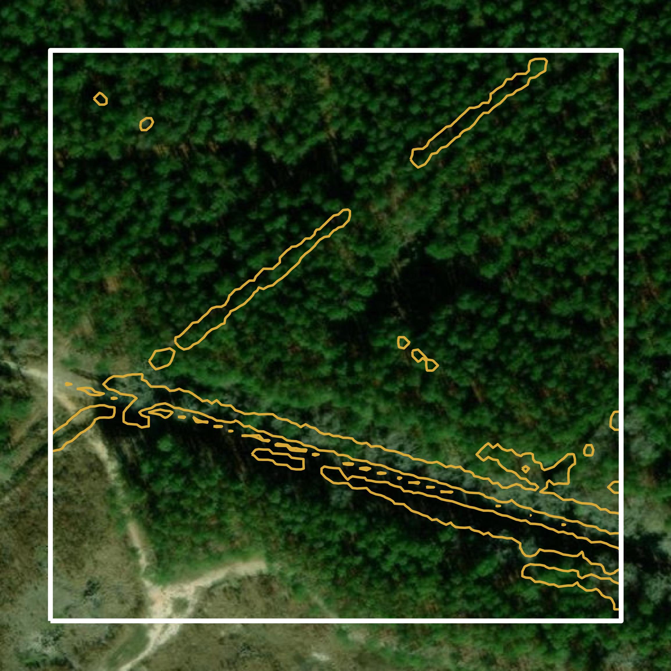 This image shows a contour map in Bamberg County created using GIS data in Equator.