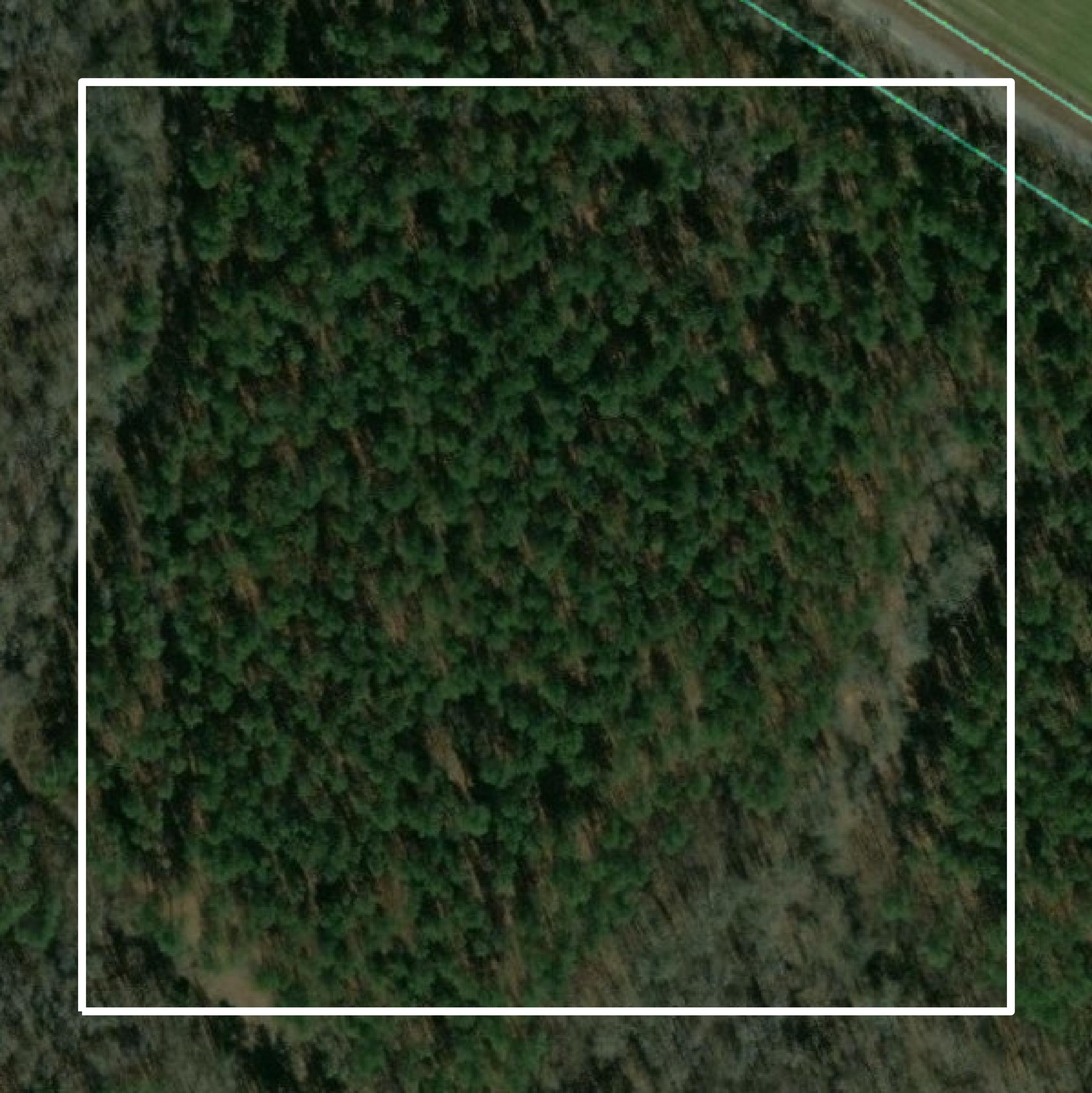 This image shows parcel and building data in Bamberg County created using GIS data in Equator.