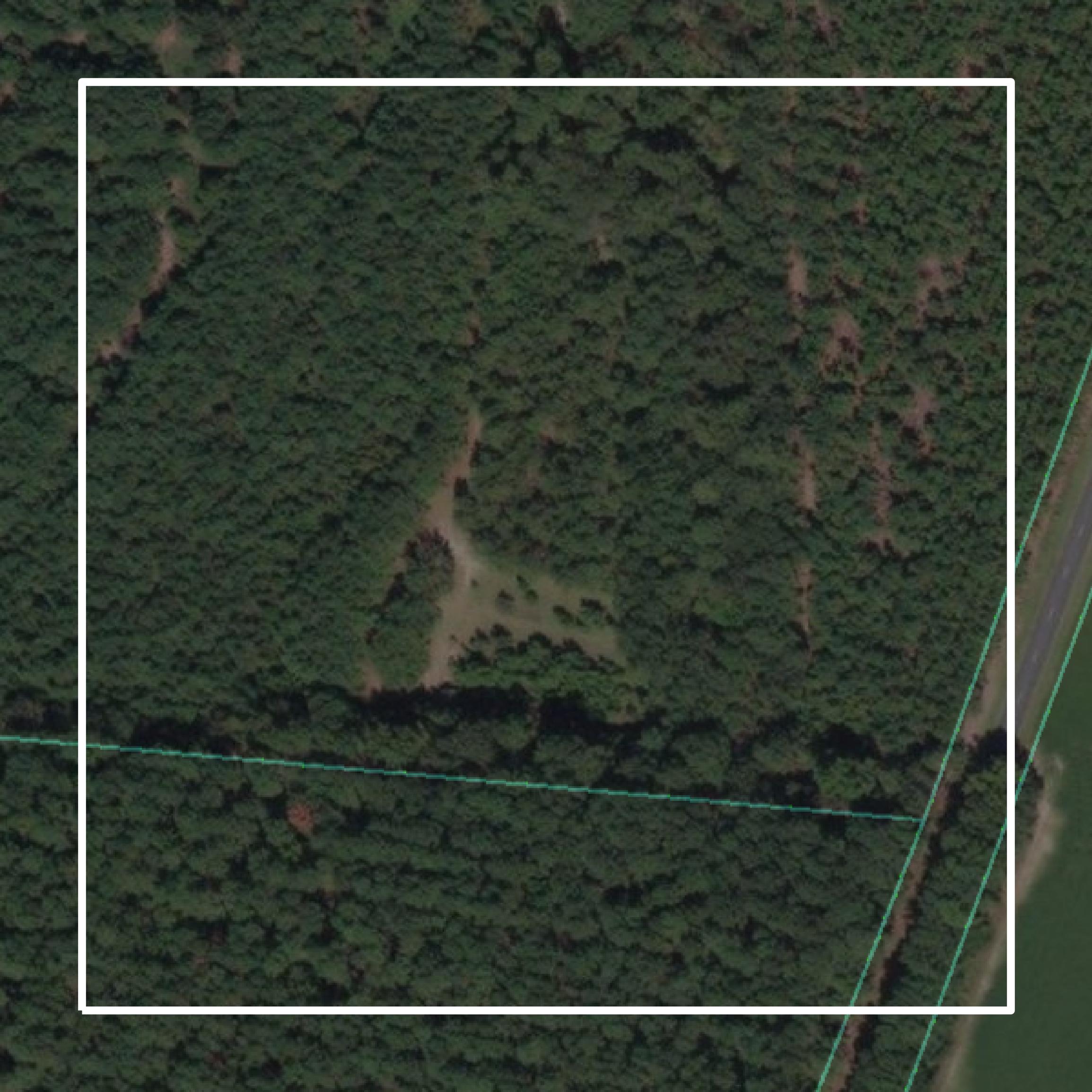 This image shows parcel and building data in Bamberg County created using GIS data in Equator.