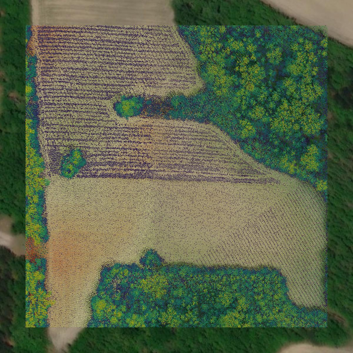 This image shows a LiDAR point cloud in Bamberg County created using GIS data in Equator.