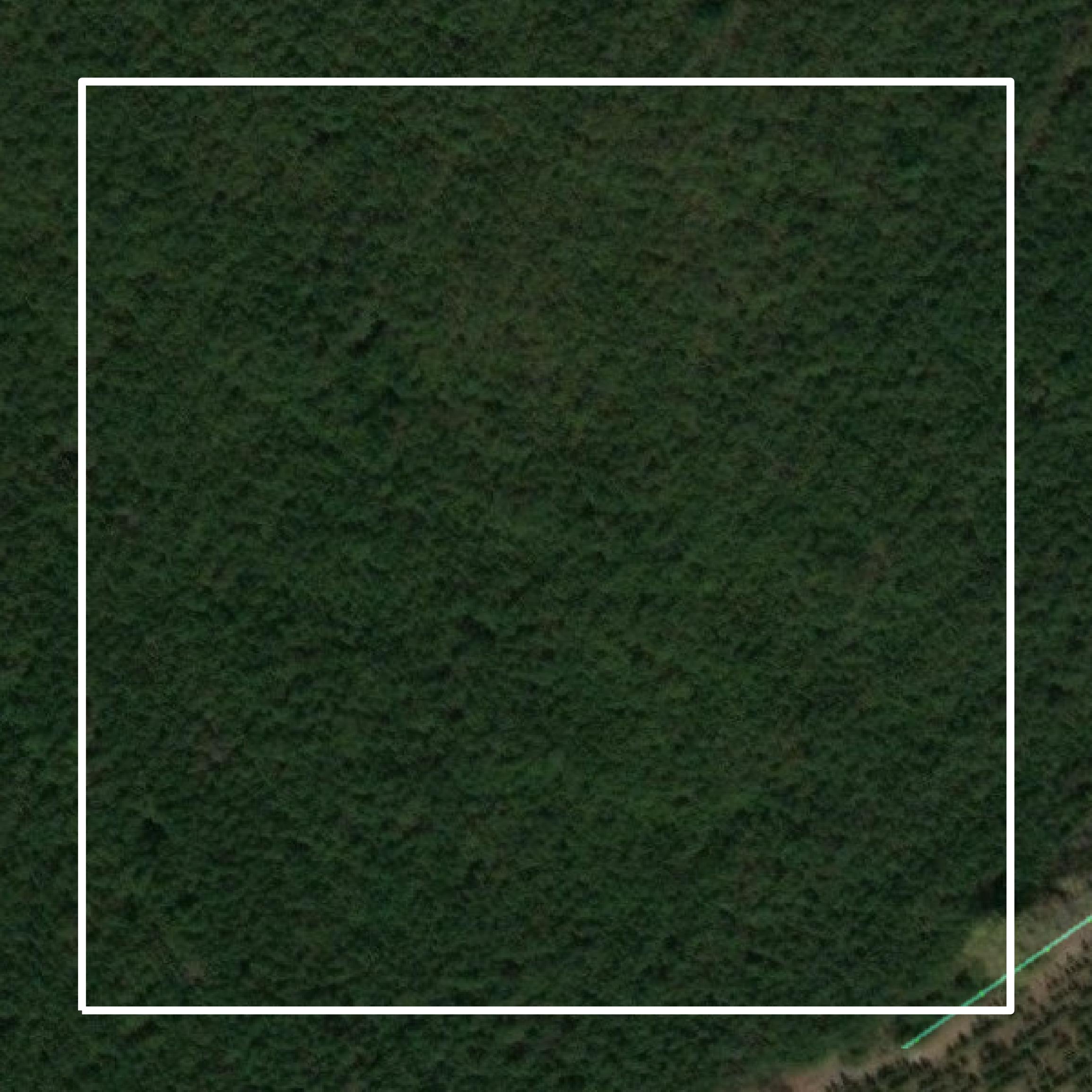 This image shows parcel and building data in Barnwell County created using GIS data in Equator.