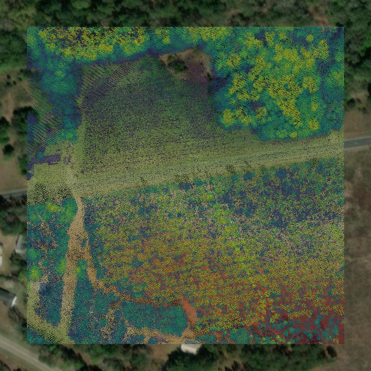 This image shows a LiDAR point cloud in Barnwell County created using GIS data in Equator.