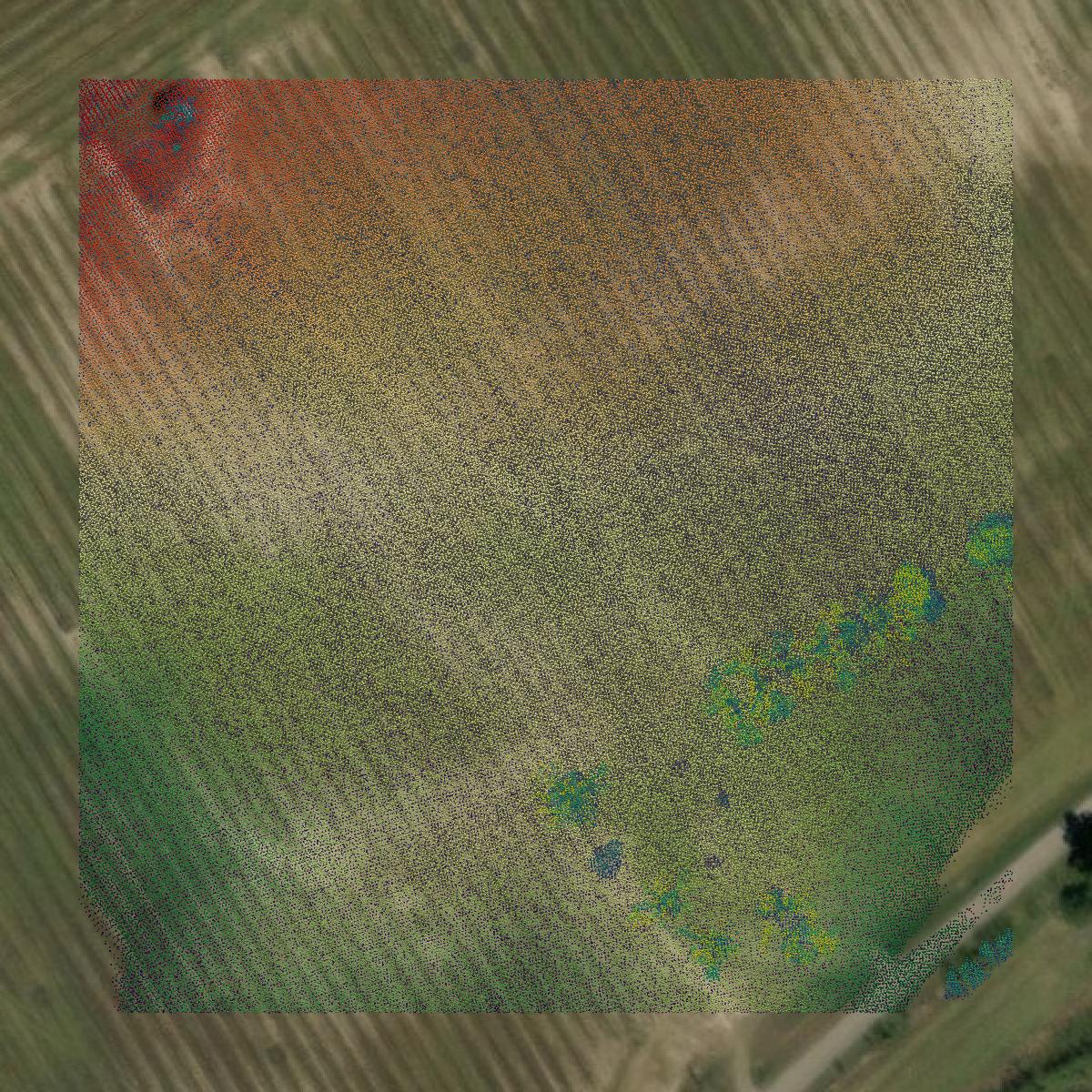 This image shows a LiDAR point cloud in Barnwell County created using GIS data in Equator.