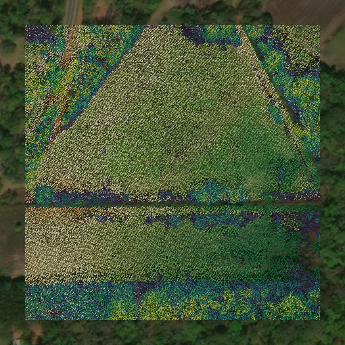 This image shows a LiDAR point cloud in Beaufort County created using GIS data in Equator.