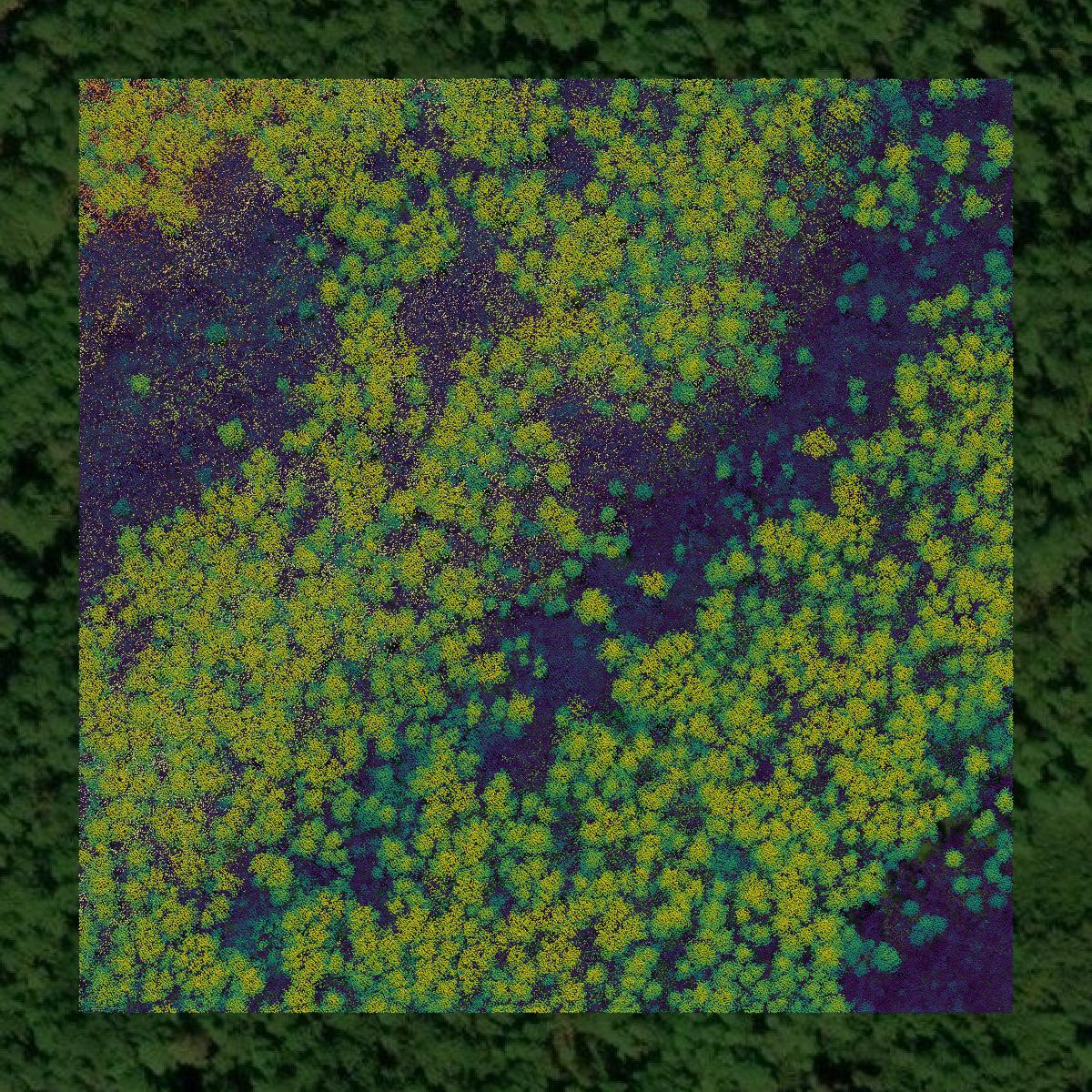 This image shows a LiDAR point cloud in Berkeley County created using GIS data in Equator.