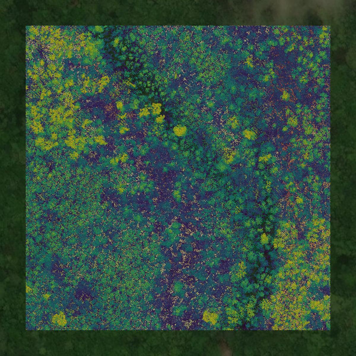 This image shows a LiDAR point cloud in Berkeley County created using GIS data in Equator.