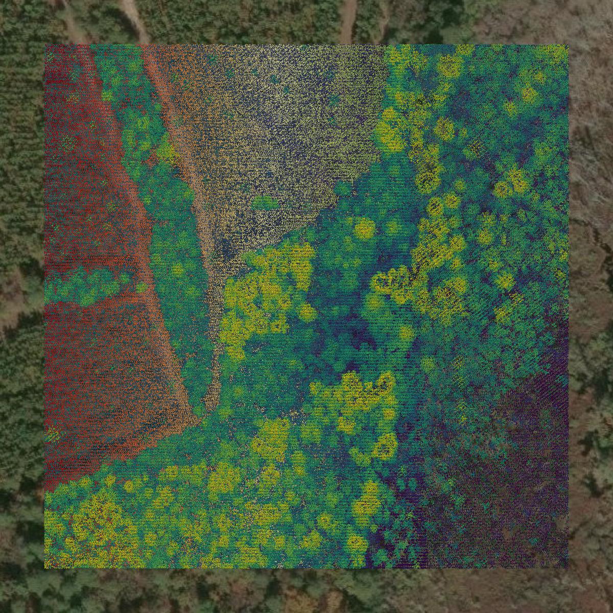 This image shows a LiDAR point cloud in Calhoun County created using GIS data in Equator.