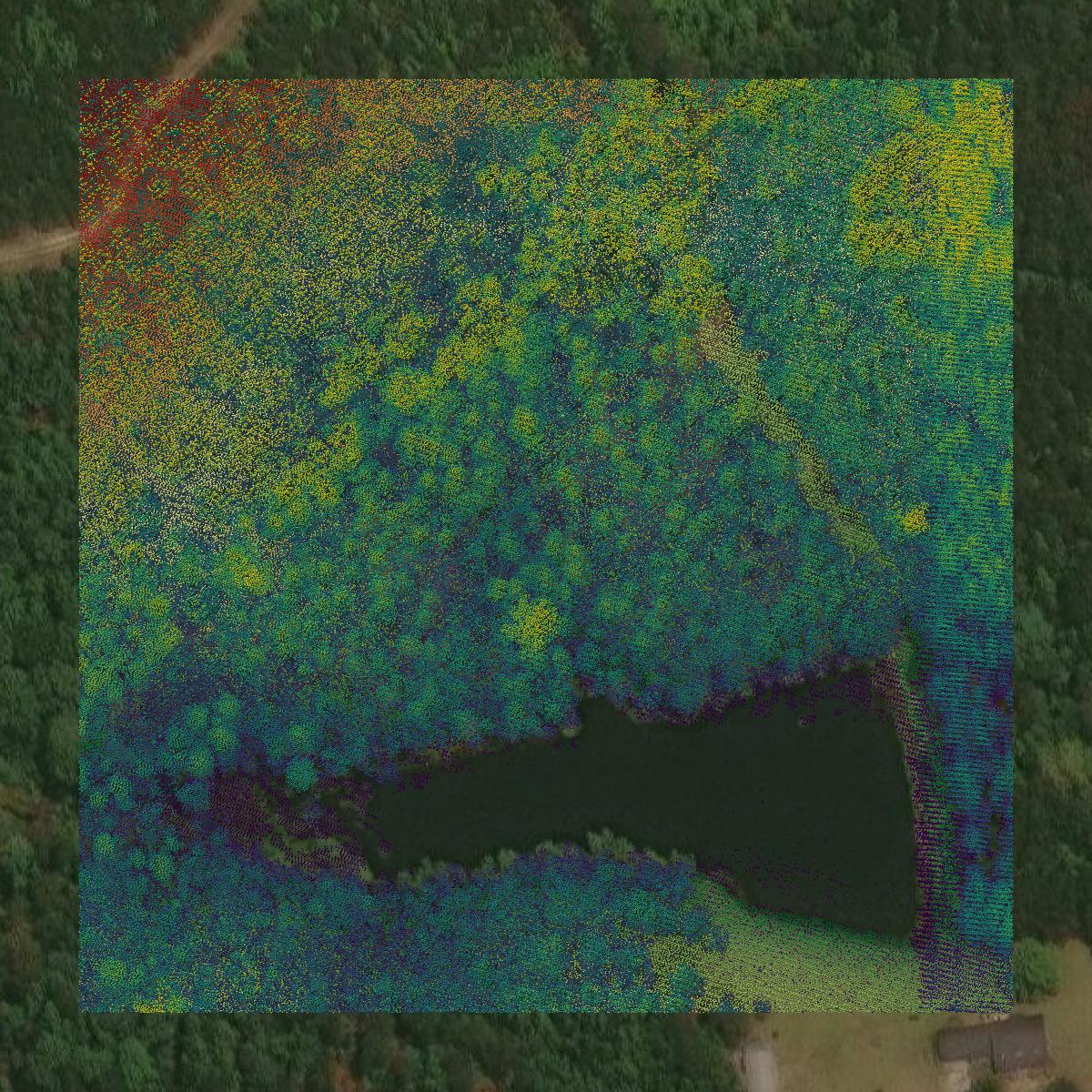 This image shows a LiDAR point cloud in Calhoun County created using GIS data in Equator.