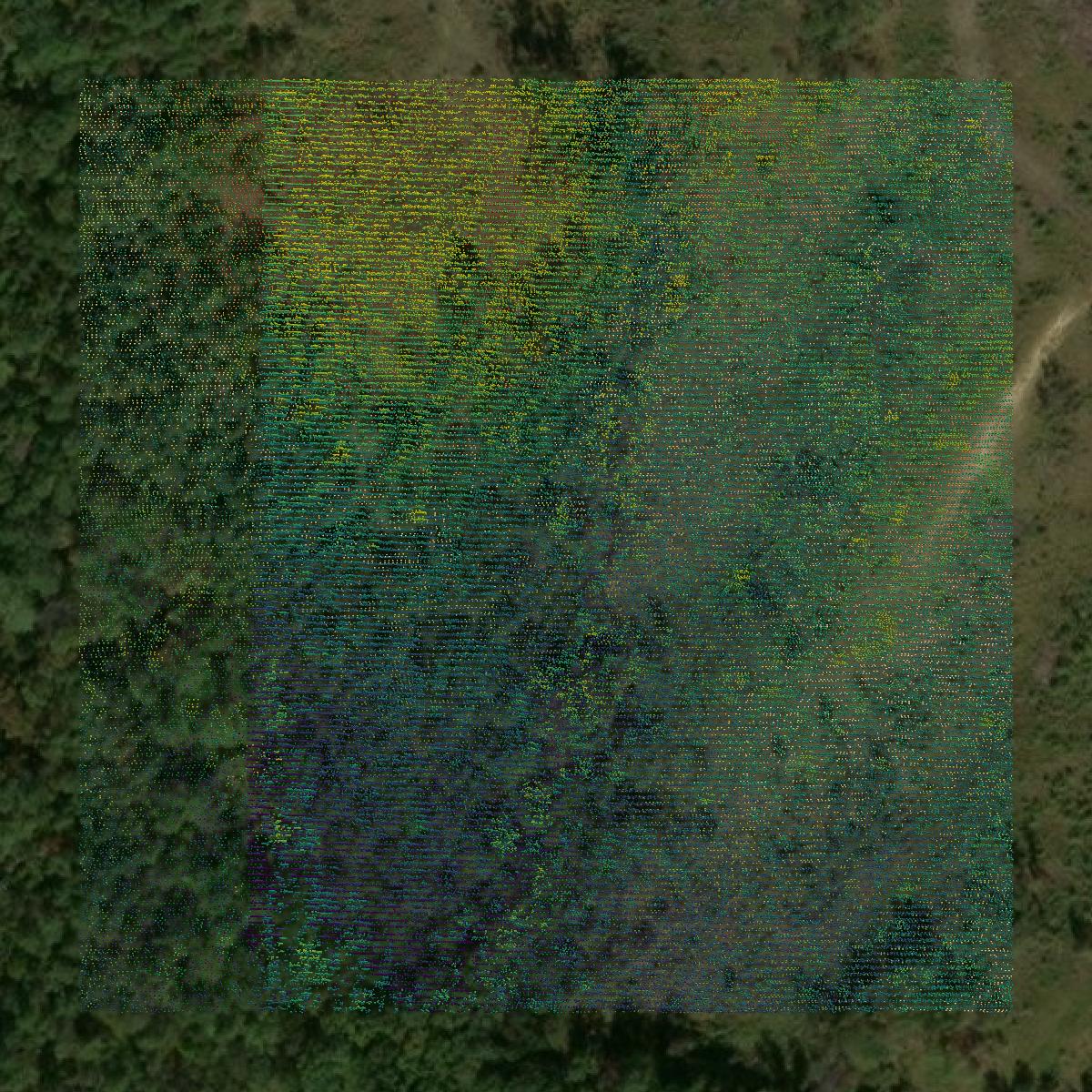 This image shows a LiDAR point cloud in Cherokee County created using GIS data in Equator.