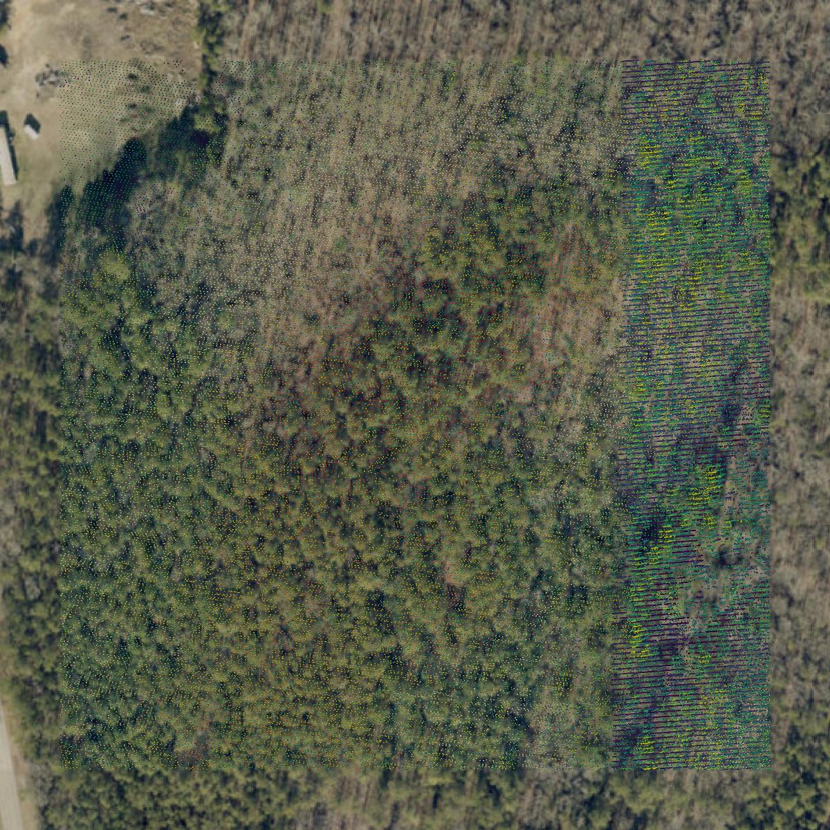 This image shows a LiDAR point cloud in Chester County created using GIS data in Equator.