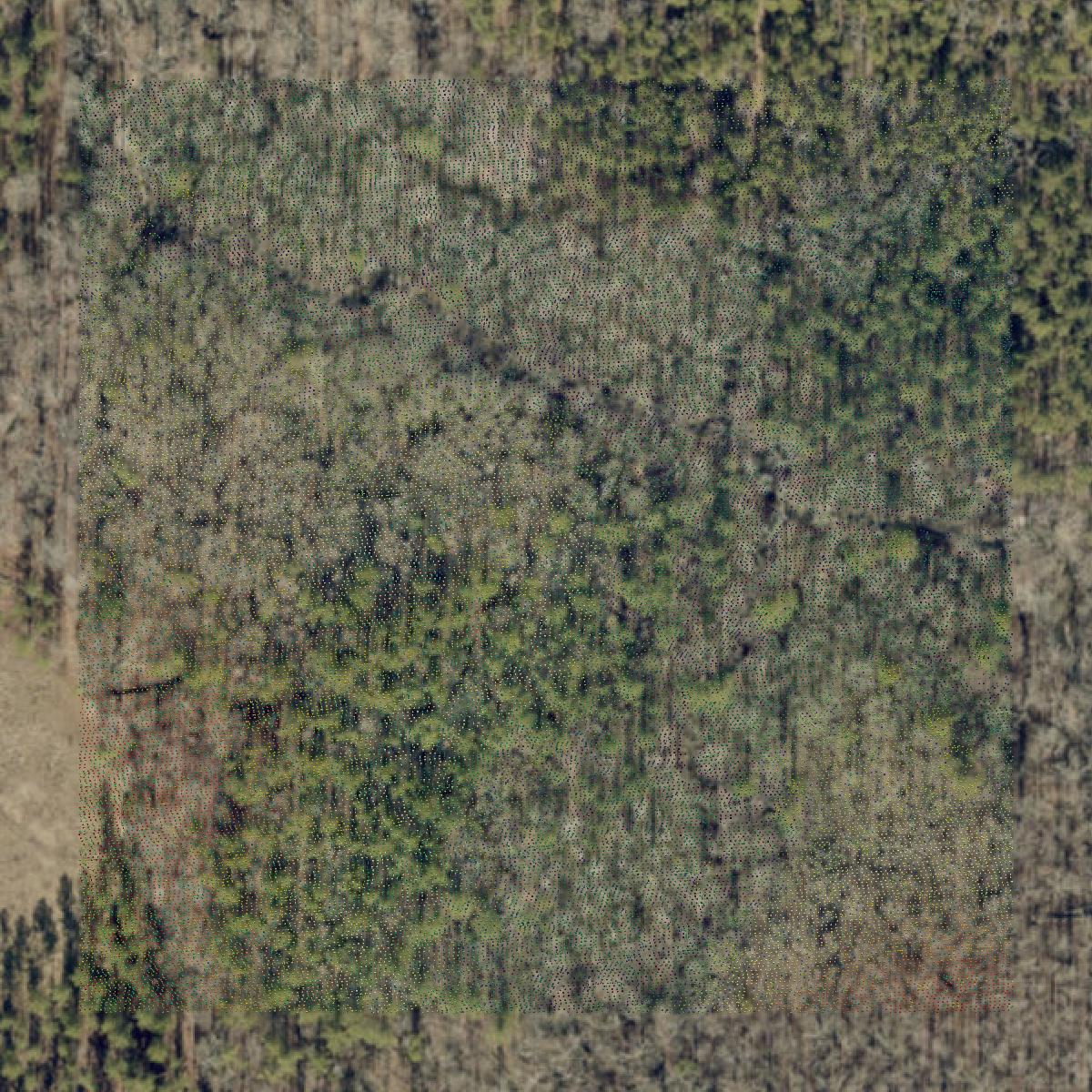 This image shows a LiDAR point cloud in Chester County created using GIS data in Equator.