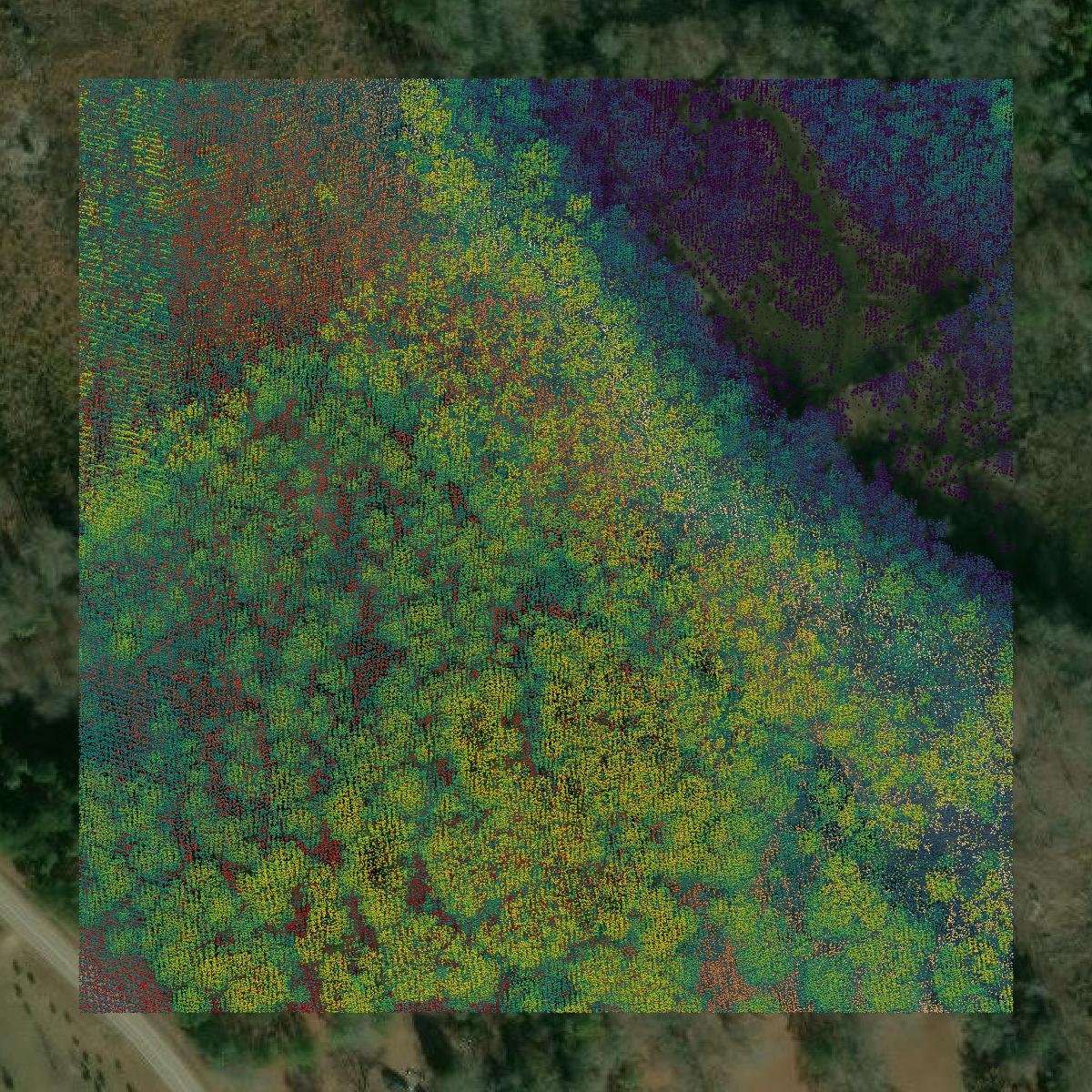 This image shows a LiDAR point cloud in Chesterfield County created using GIS data in Equator.