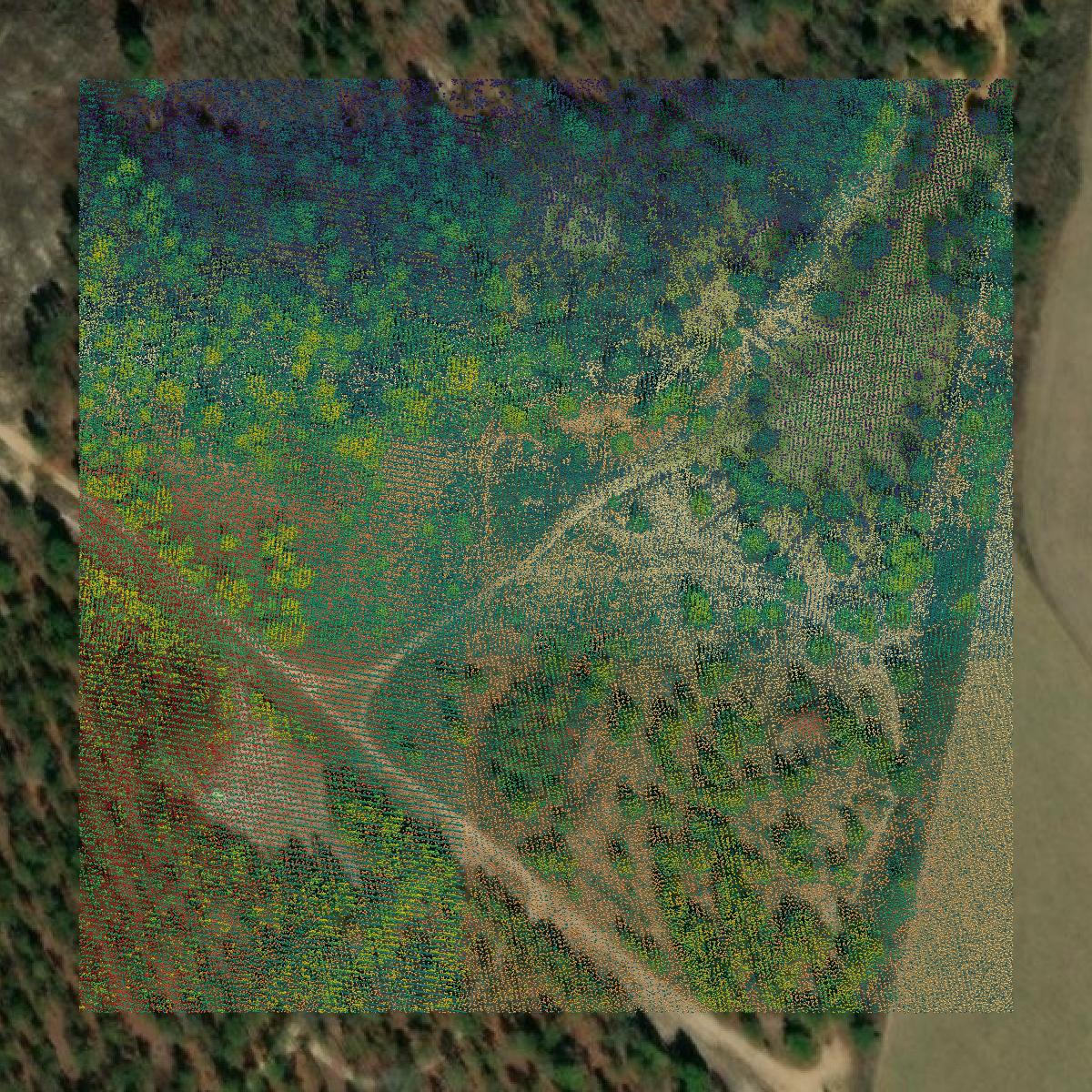 This image shows a LiDAR point cloud in Chesterfield County created using GIS data in Equator.