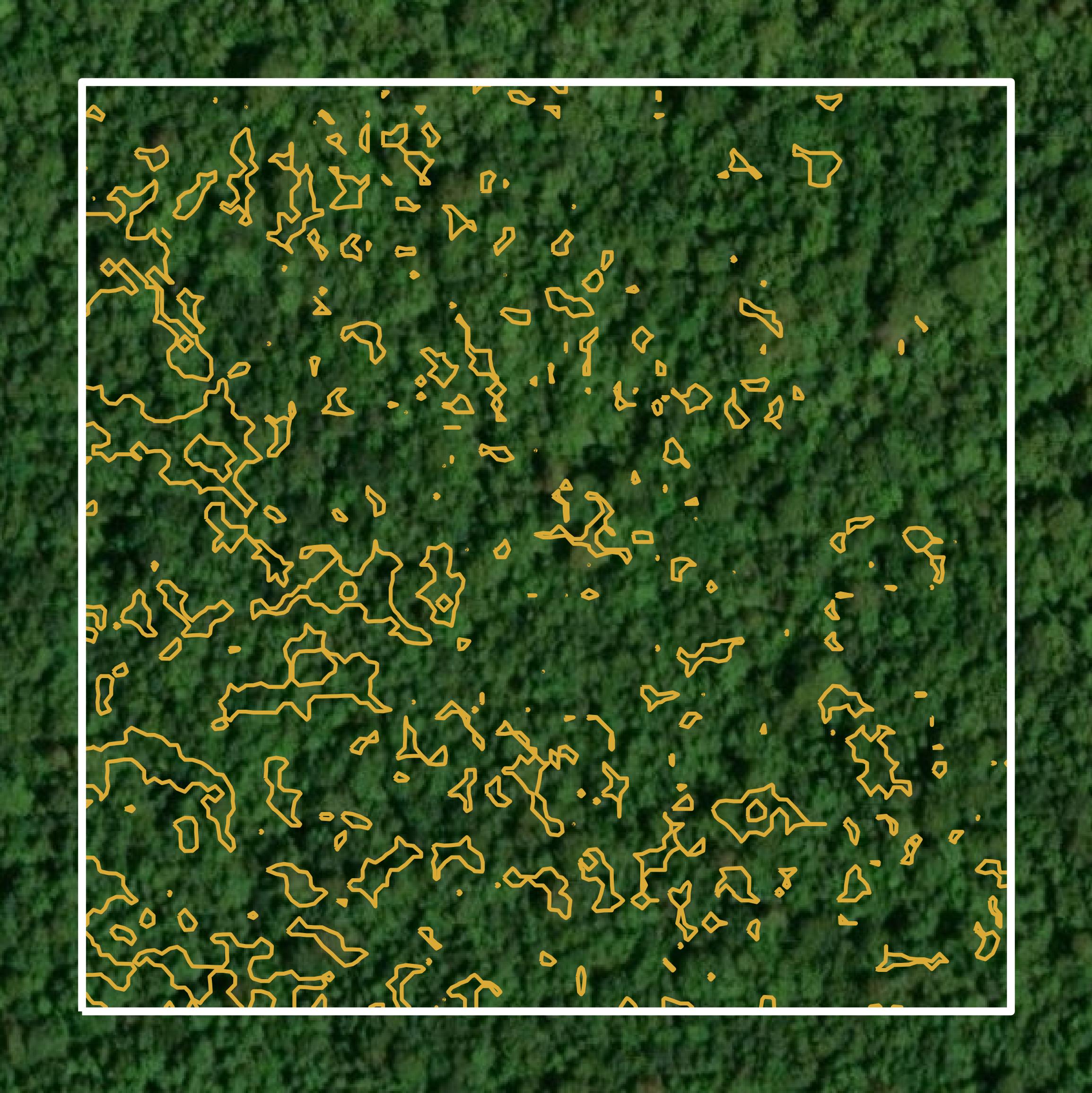 This image shows a contour map in Clarendon County created using GIS data in Equator.