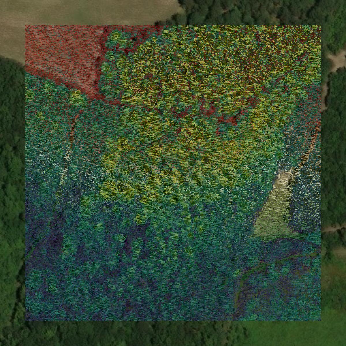 This image shows a LiDAR point cloud in Clarendon County created using GIS data in Equator.