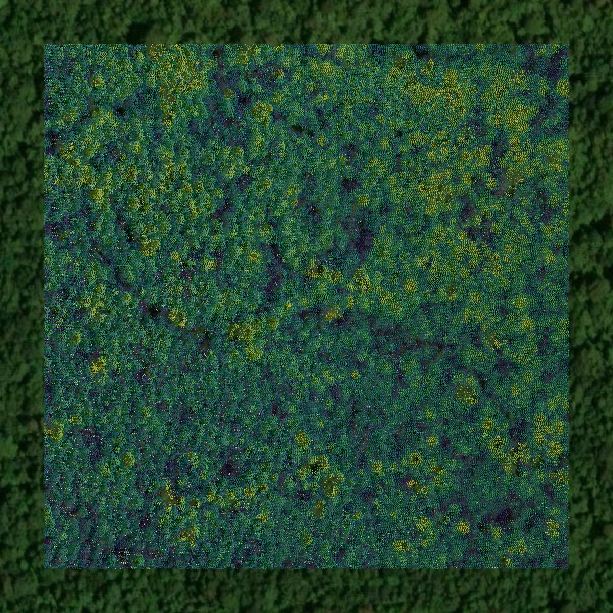 This image shows a LiDAR point cloud in Clarendon County created using GIS data in Equator.