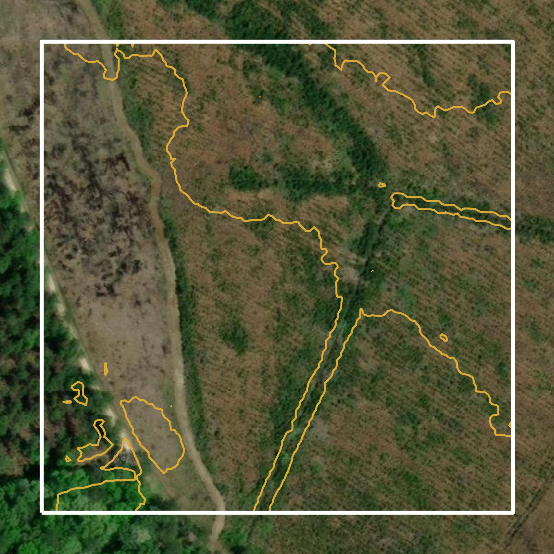 This image shows a contour map in Colleton County created using GIS data in Equator.