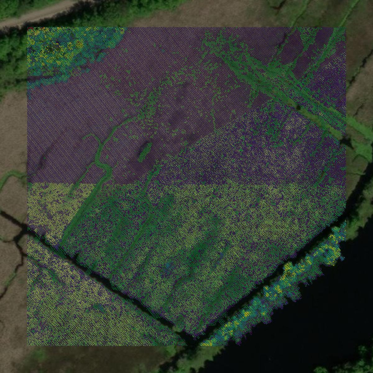 This image shows a LiDAR point cloud in Colleton County created using GIS data in Equator.