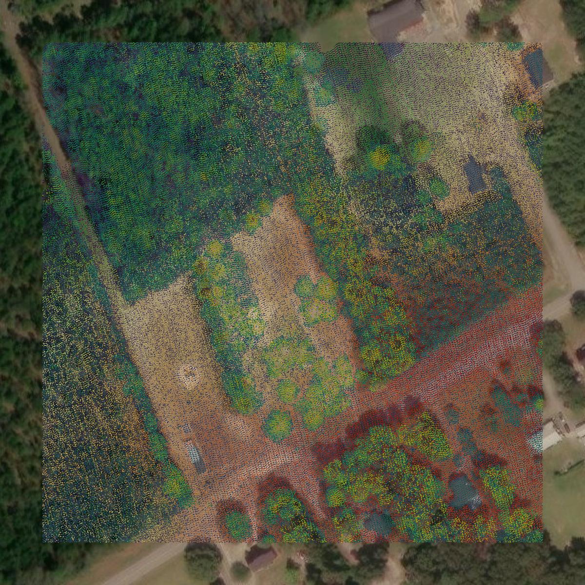 This image shows a LiDAR point cloud in Darlington County created using GIS data in Equator.