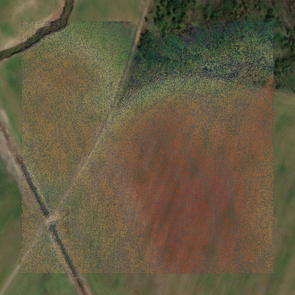 This image shows a LiDAR point cloud in Darlington County created using GIS data in Equator.