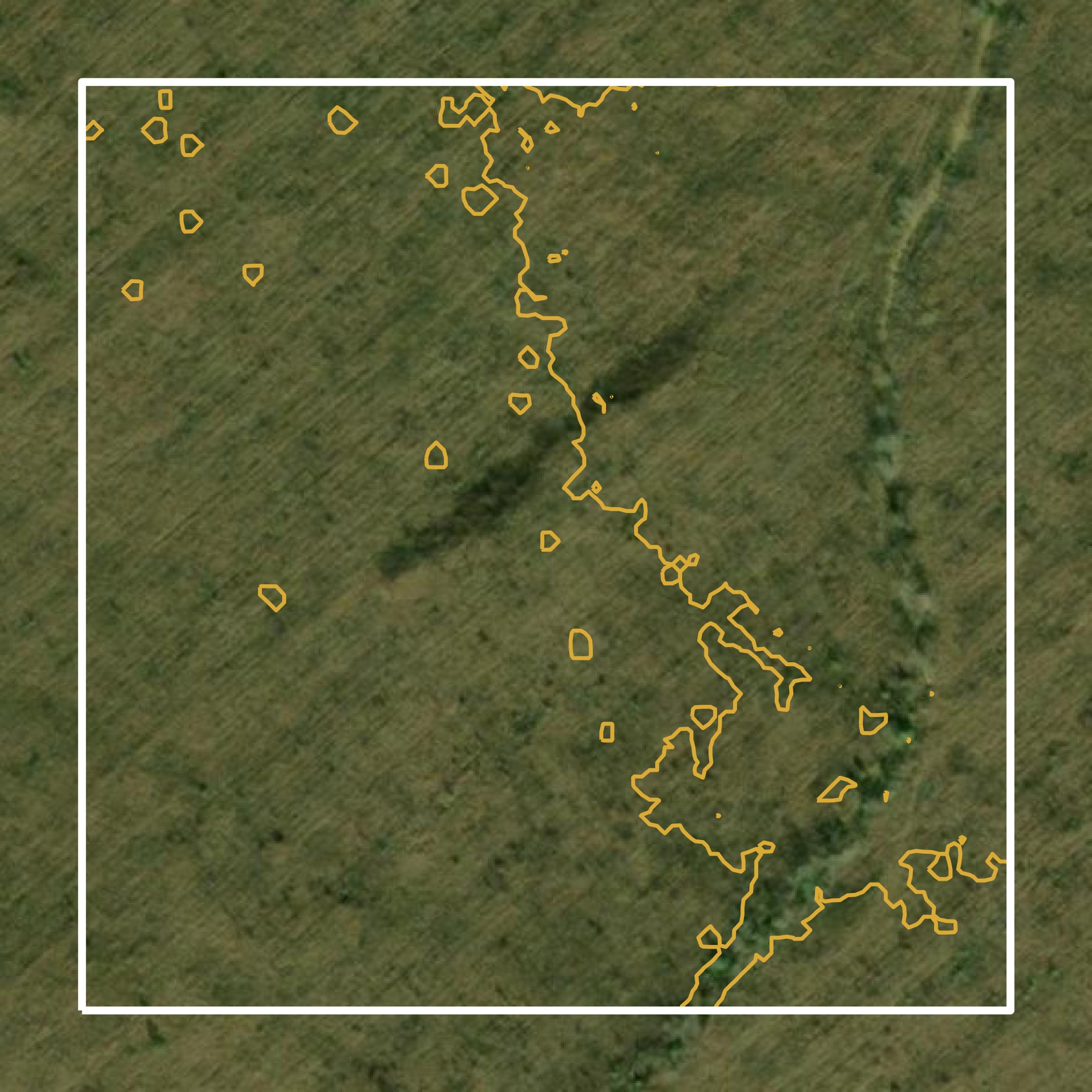 This image shows a contour map in Dillon County created using GIS data in Equator.