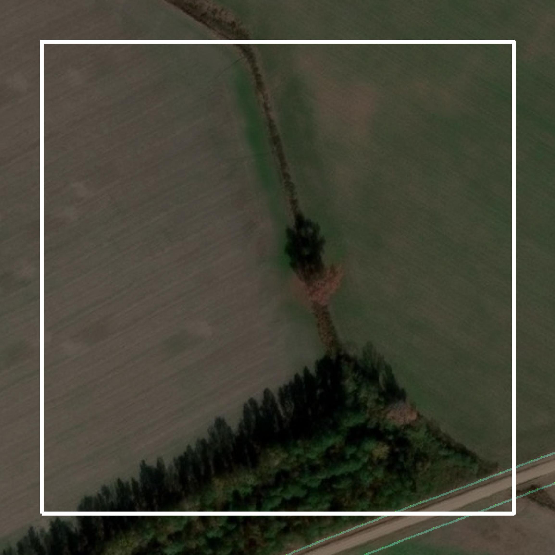 This image shows parcel and building data in Dillon County created using GIS data in Equator.