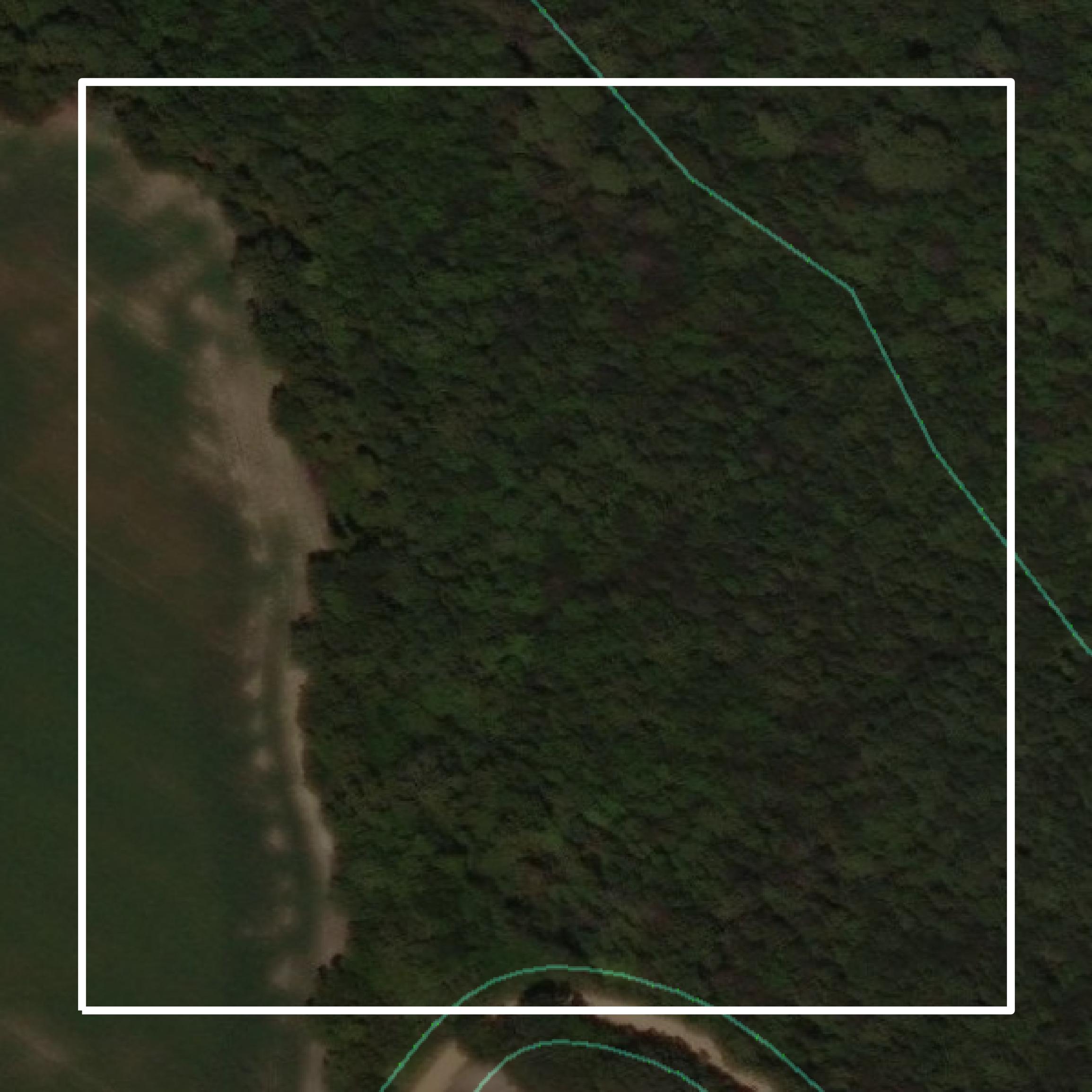This image shows parcel and building data in Dillon County created using GIS data in Equator.
