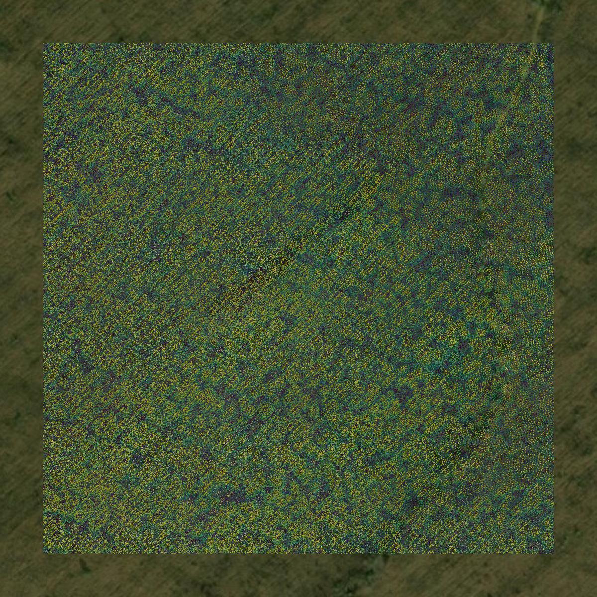 This image shows a LiDAR point cloud in Dillon County created using GIS data in Equator.