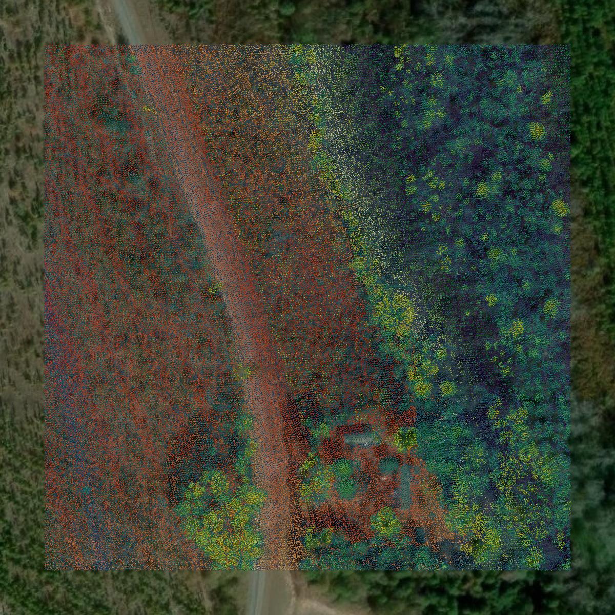 This image shows a LiDAR point cloud in Dillon County created using GIS data in Equator.