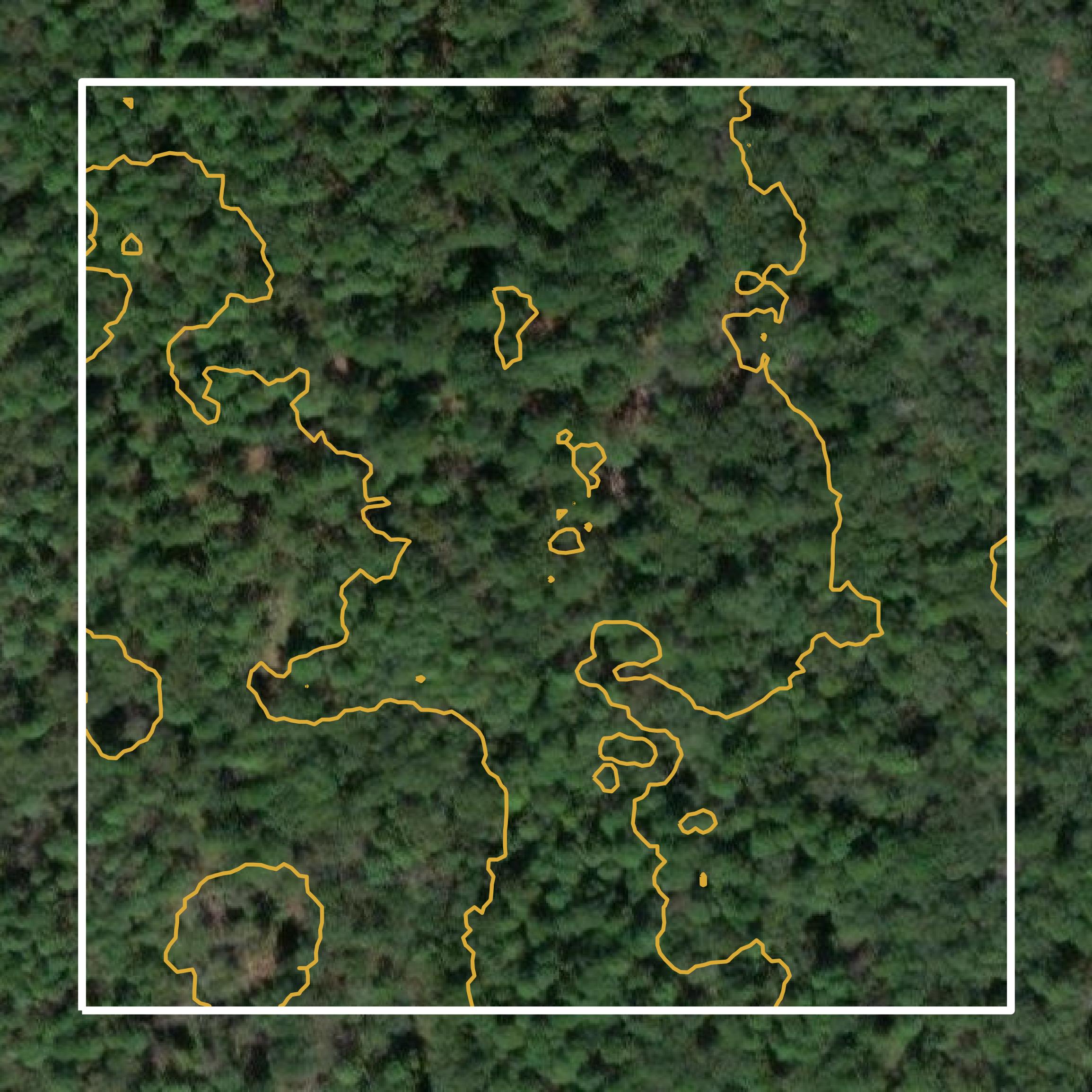 This image shows a contour map in Dorchester County created using GIS data in Equator.