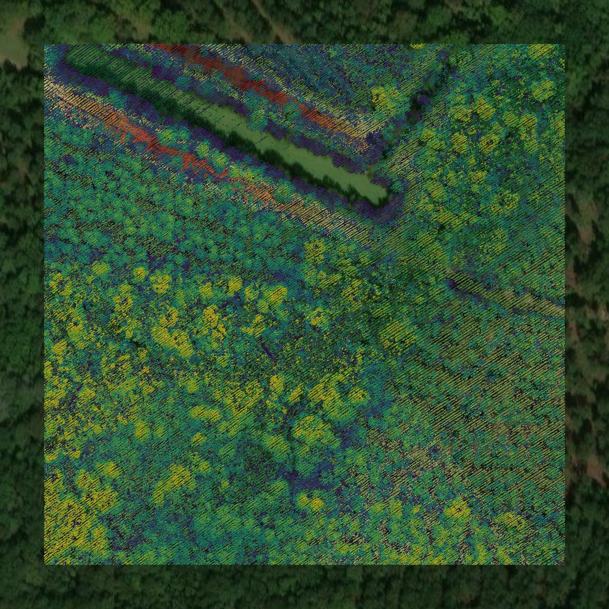 This image shows a LiDAR point cloud in Dorchester County created using GIS data in Equator.