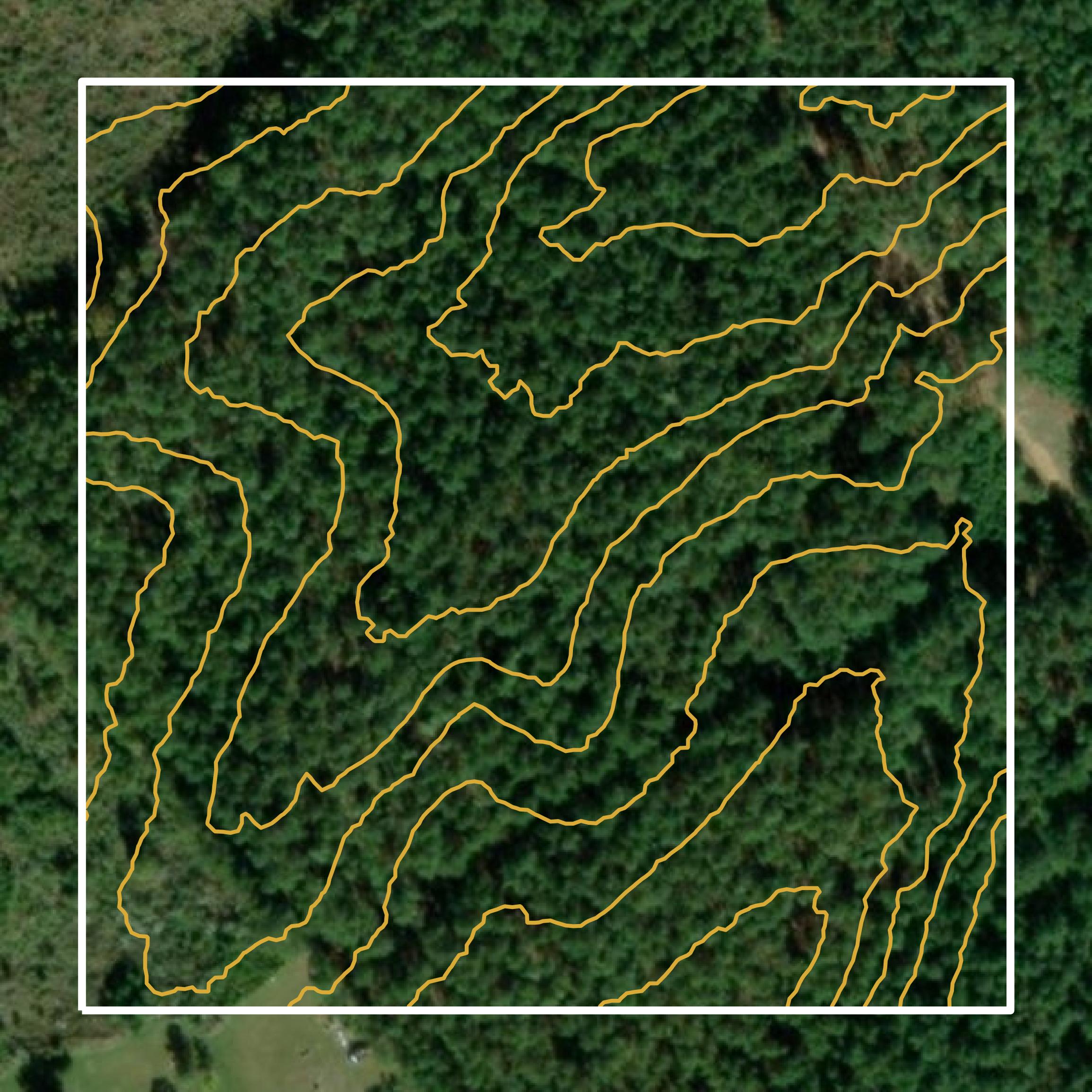 This image shows a contour map in Edgefield County created using GIS data in Equator.