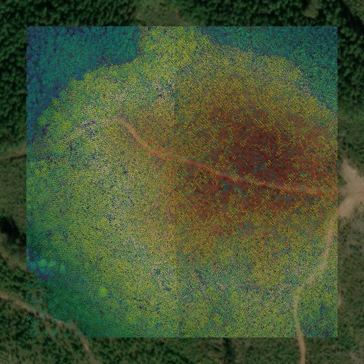 This image shows a LiDAR point cloud in Edgefield County created using GIS data in Equator.