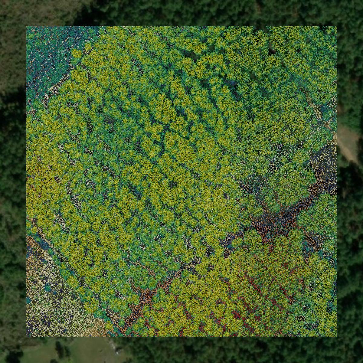 This image shows a LiDAR point cloud in Edgefield County created using GIS data in Equator.
